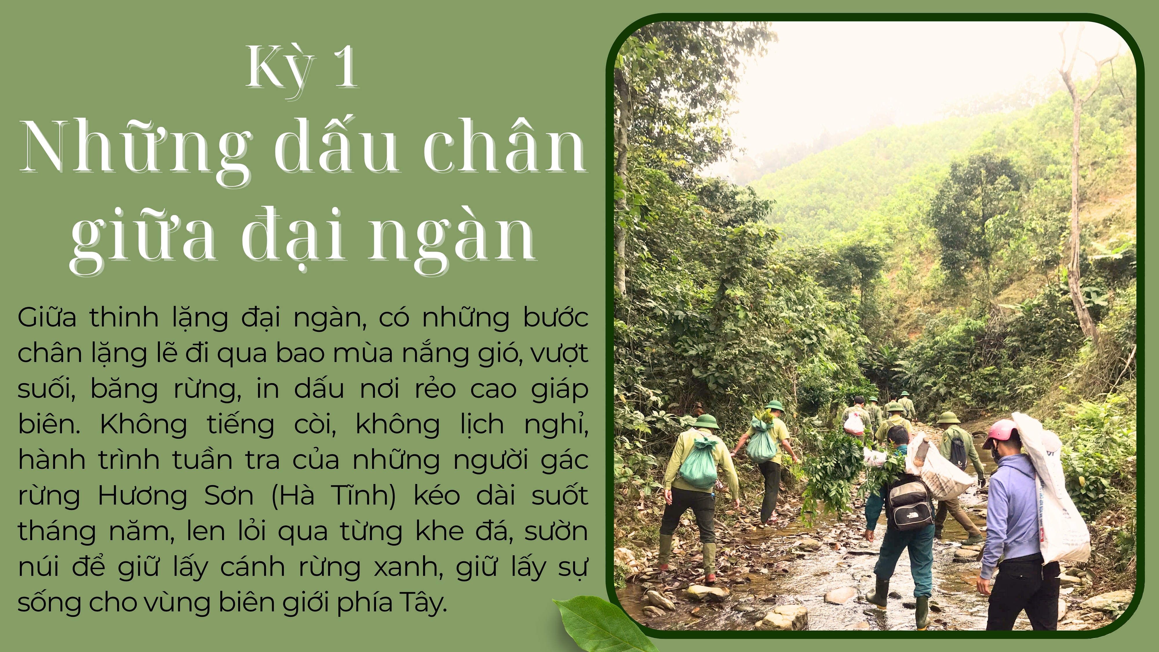 Chuyện người gác rừng nơi biên giới - ảnh 2