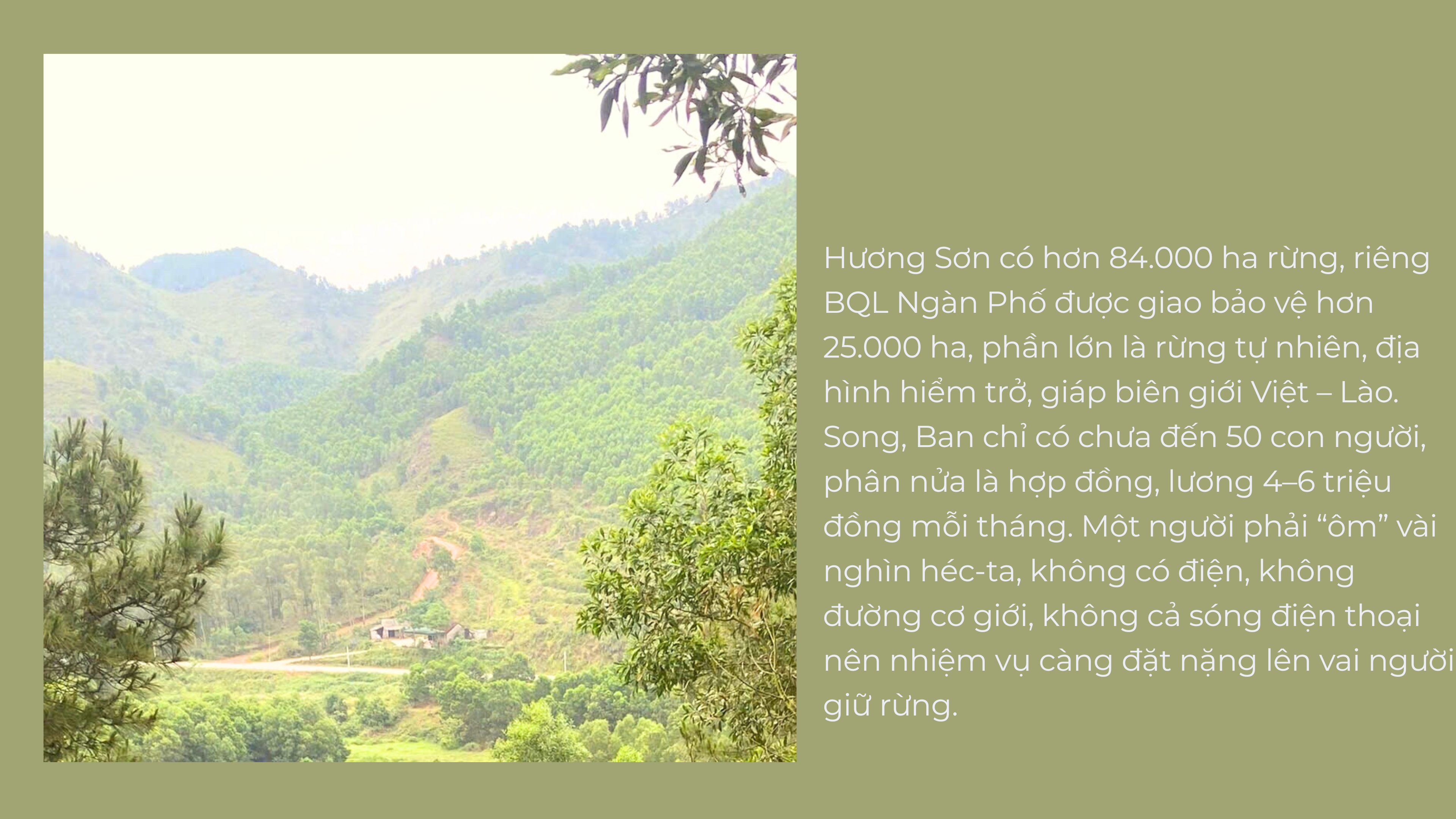 Chuyện người gác rừng nơi biên giới - ảnh 5