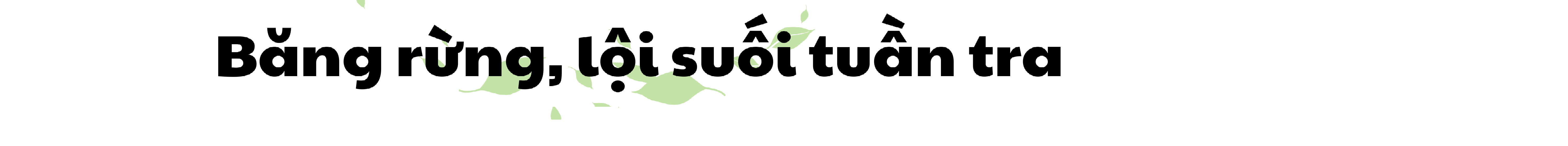 Chuyện người gác rừng nơi biên giới - ảnh 3