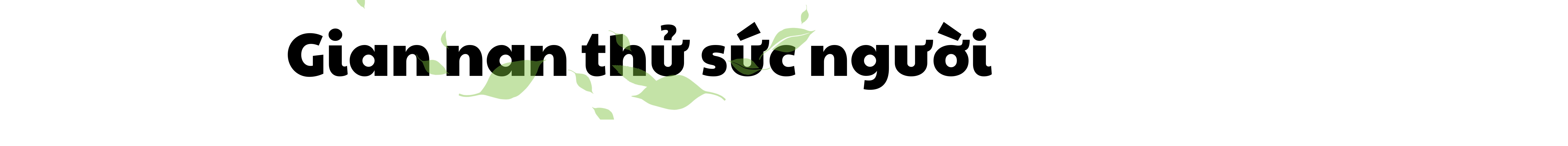 Chuyện người gác rừng nơi biên giới - ảnh 6