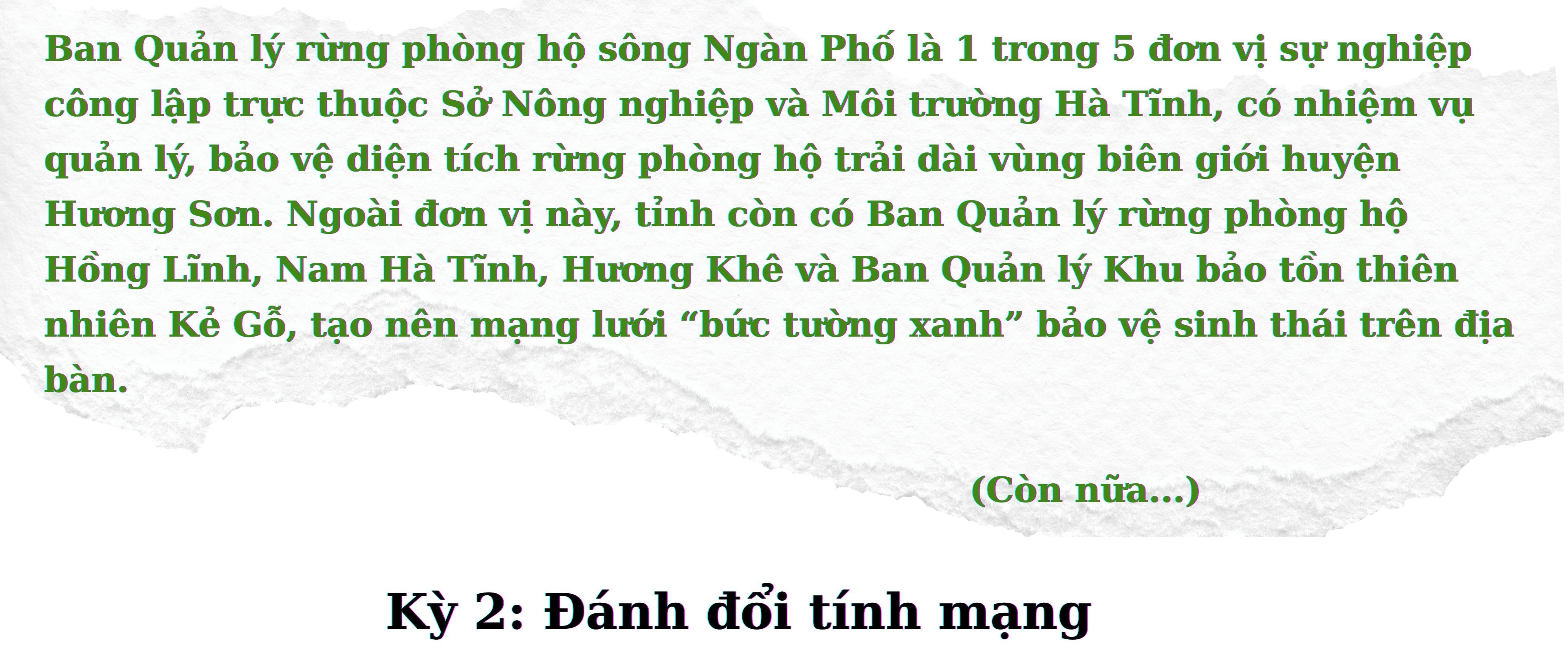 Chuyện người gác rừng nơi biên giới - ảnh 10