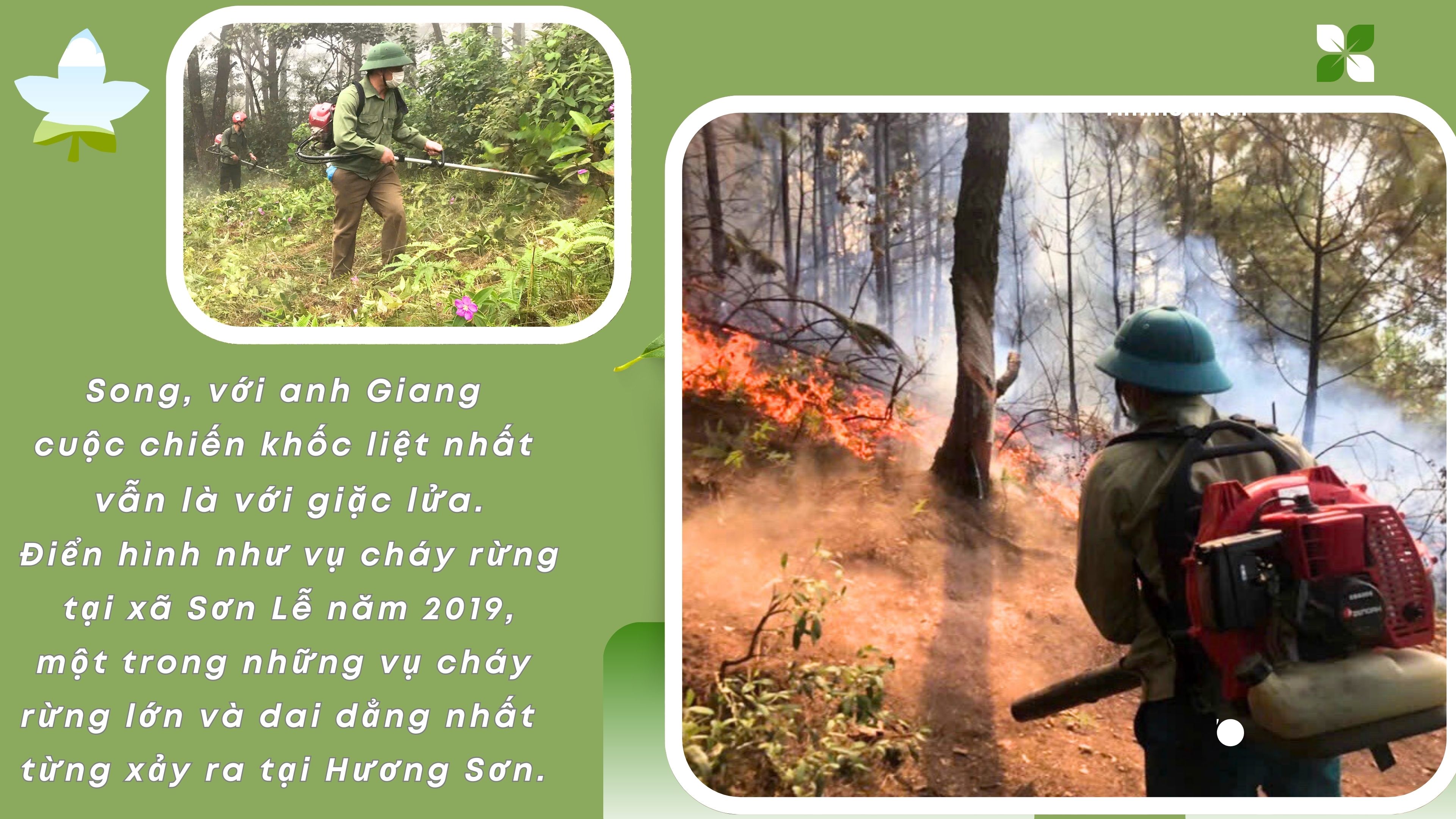 Chuyện người gác rừng nơi biên giới - ảnh 8