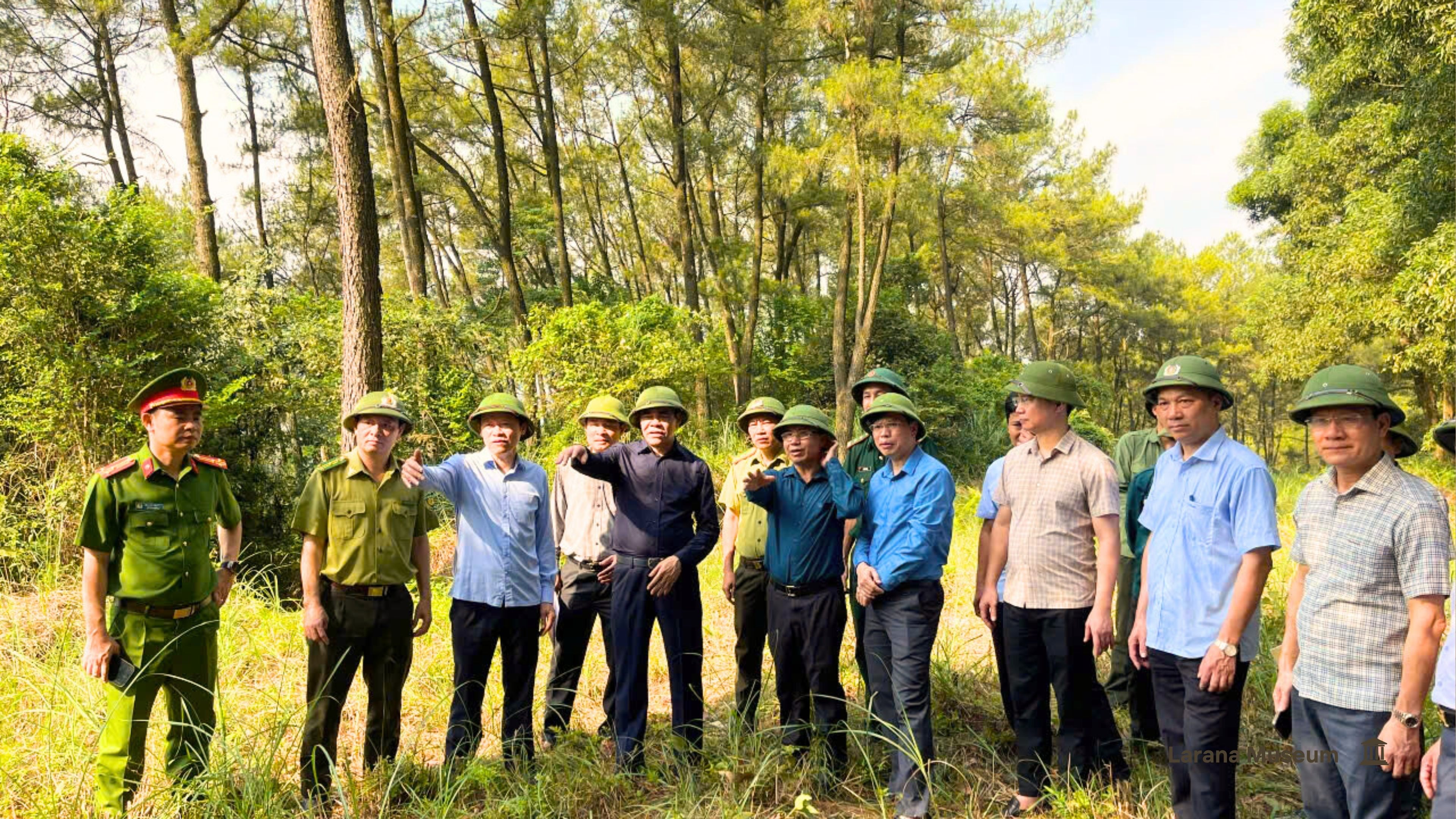 Kỳ cuối - Gắn đời với rừng - ảnh 9