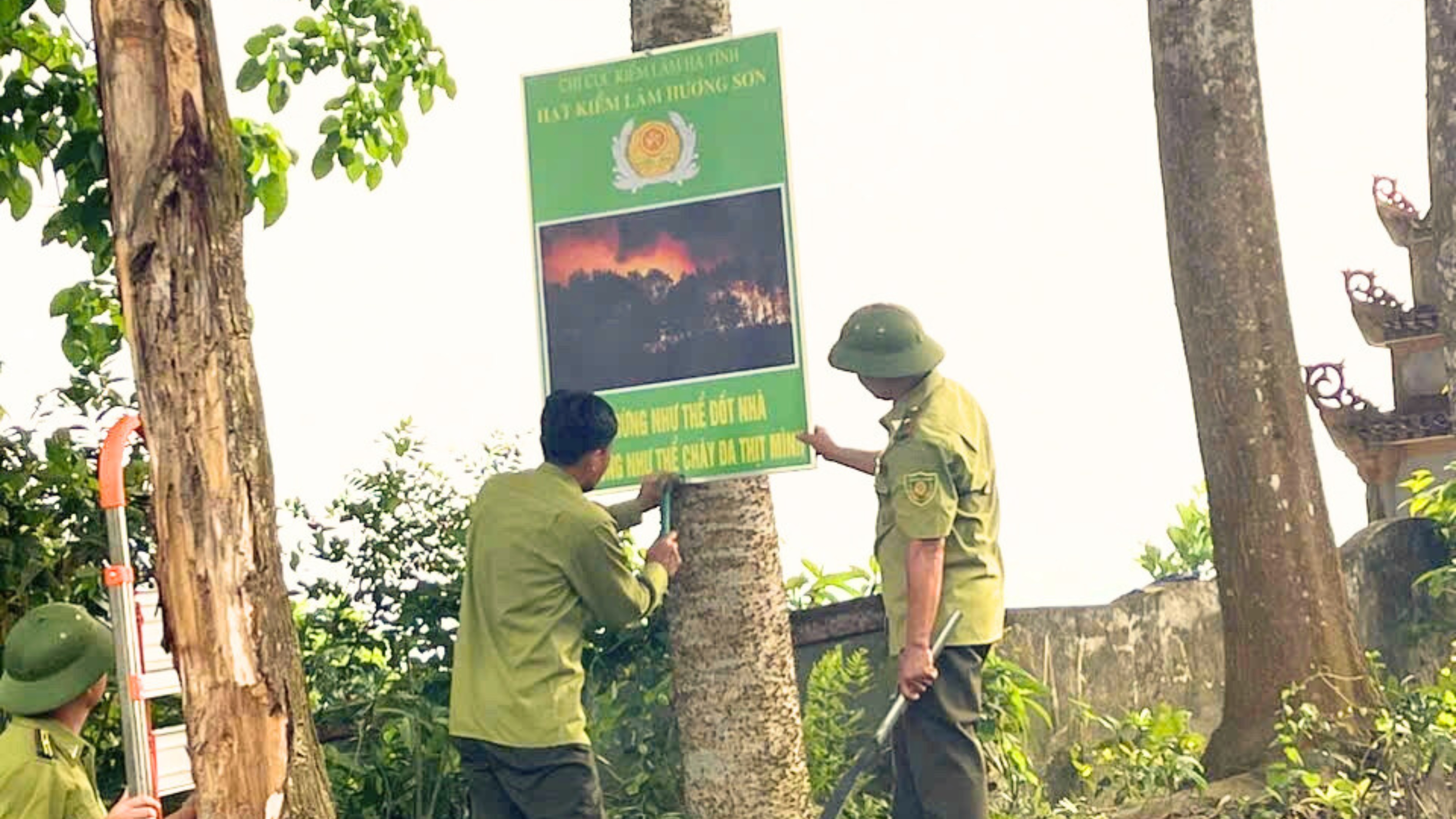 Kỳ cuối - Gắn đời với rừng - ảnh 8