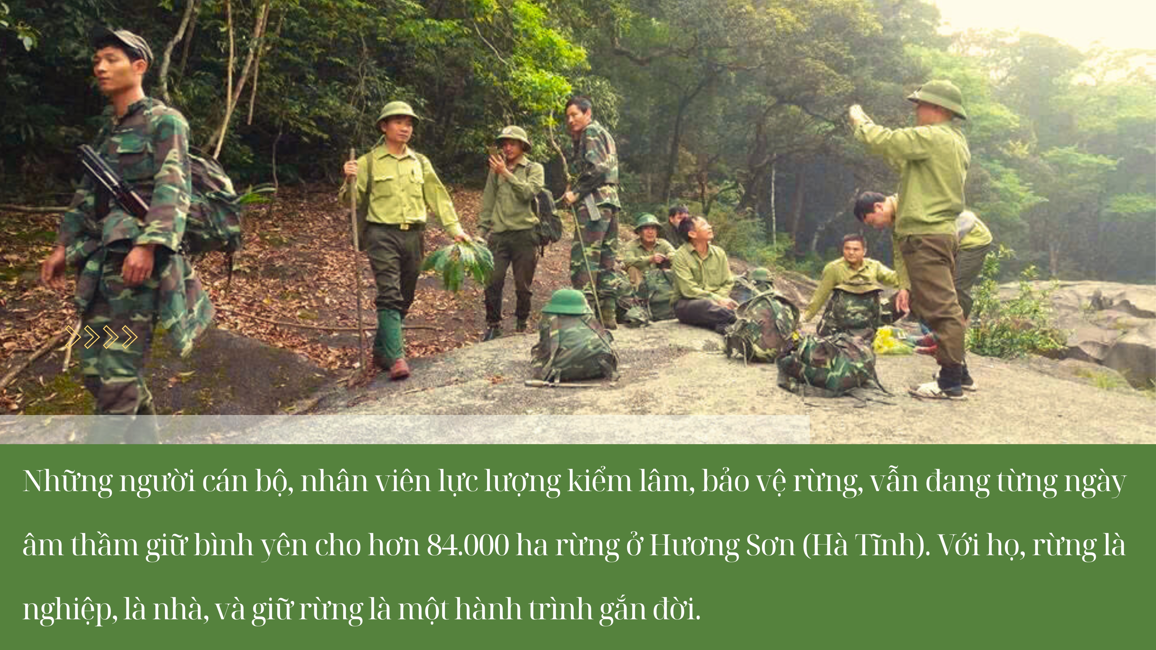 Kỳ cuối - Gắn đời với rừng - ảnh 2