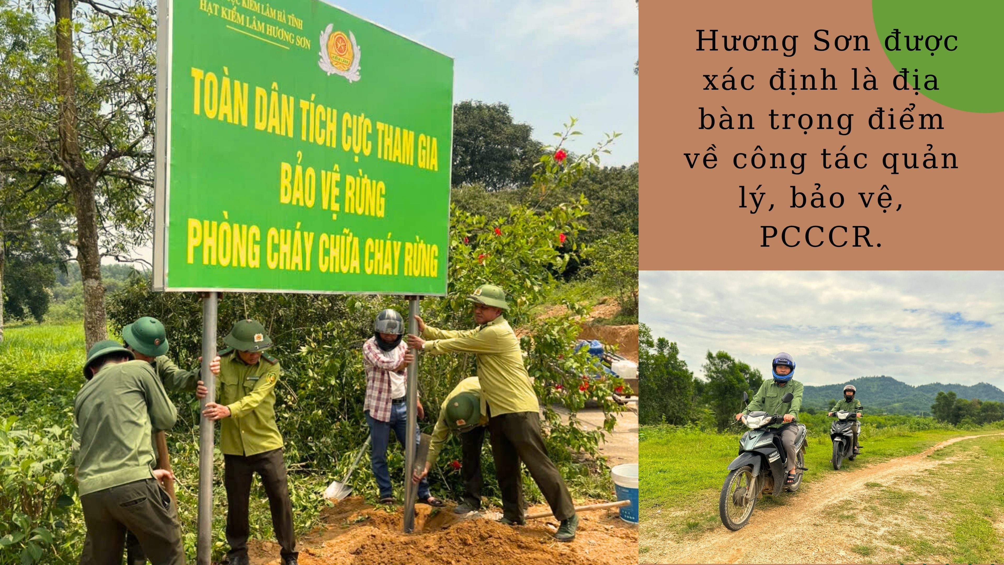 Kỳ cuối - Gắn đời với rừng - ảnh 4