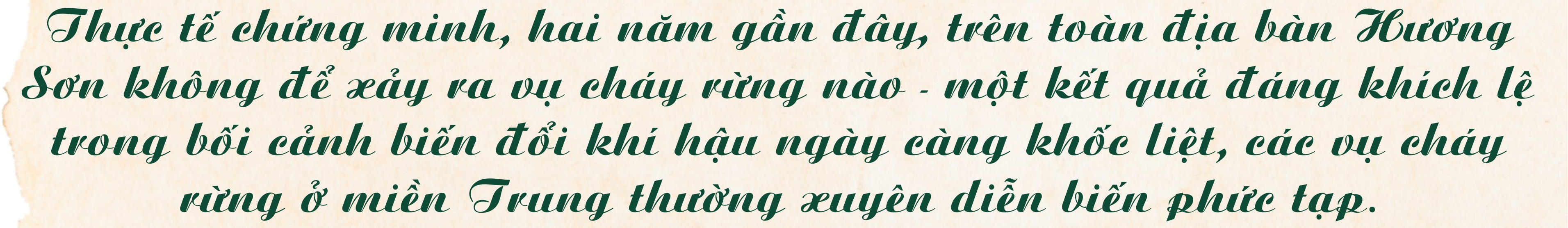 Kỳ cuối - Gắn đời với rừng - ảnh 10