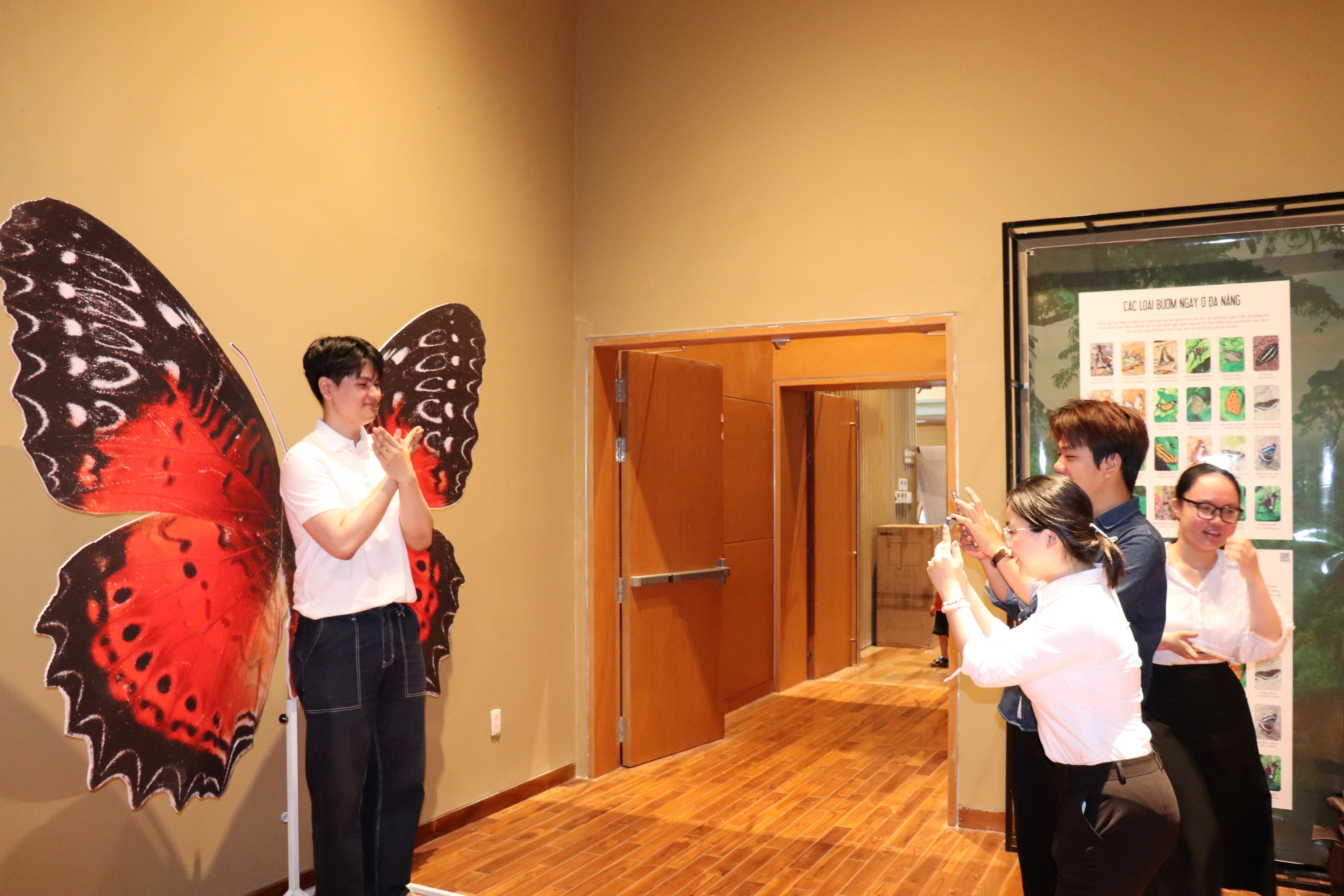 Chiêm ngưỡng thiên nhiên đa sắc màu từ các loài bướm, côn trùng - ảnh 5