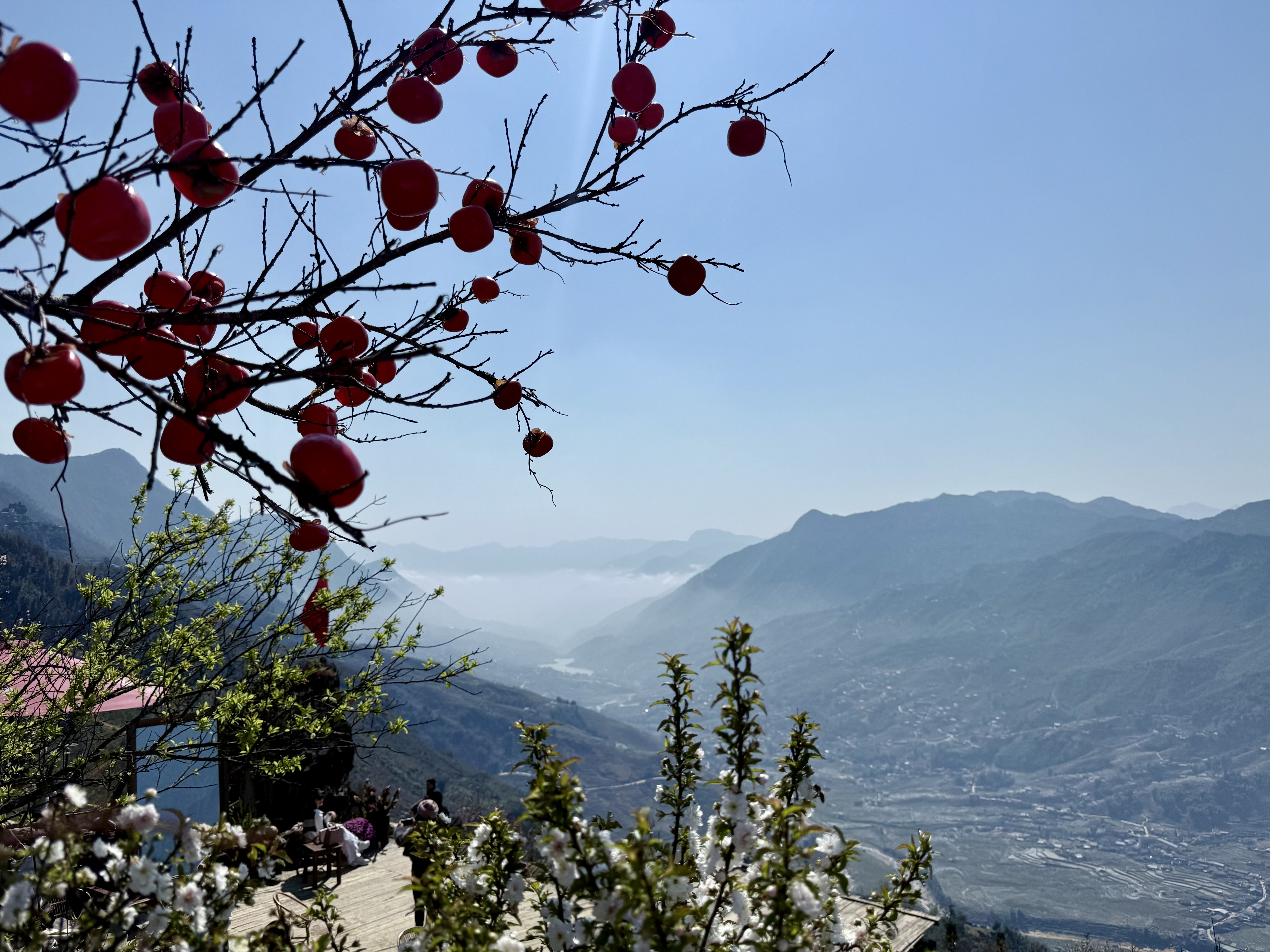 Quảng bá du lịch Việt Nam trên biển quảng cáo tấm lớn, biển quảng cáo điện tử, phương tiện giao thông công cộng