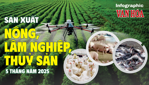 (Infographic) Sản xuất nông, lâm nghiệp, thủy sản 5 tháng năm 2025