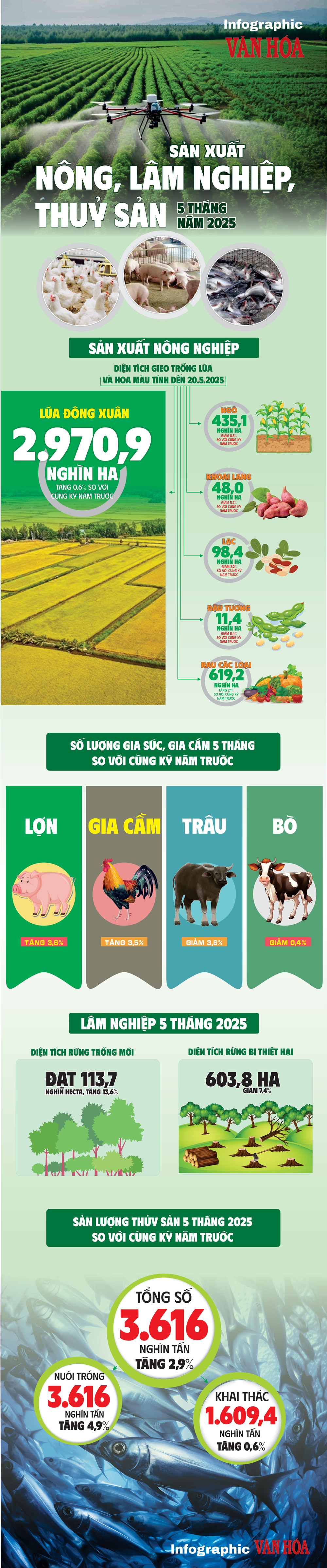 (Infographic) Sản xuất nông, lâm nghiệp, thủy sản 5 tháng năm 2025 - ảnh 1