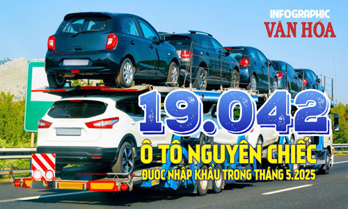 (Infographic) 19.042 ô tô nguyên chiếc được nhập khẩu trong tháng 5.2025