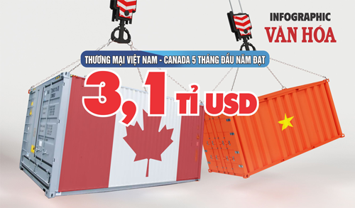(Infographic) Thương mại Việt Nam -  Canada 5 tháng đầu năm đạt 3,1 tỉ USD