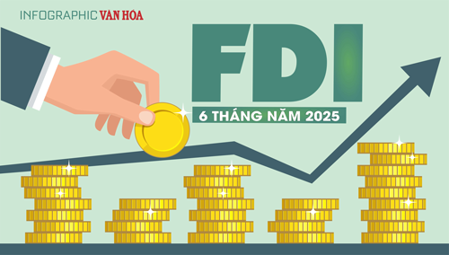 (Infographic) FDI 6 tháng đạt 21,52 tỉ USD