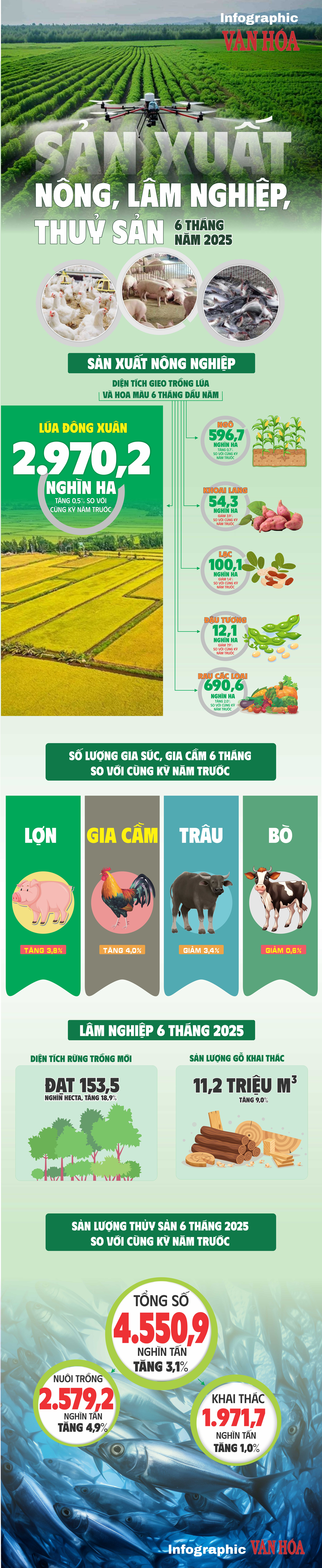 (Infographic) Sản xuất nông, lâm nghiệp, thủy sản 6 tháng năm 2025 - ảnh 1