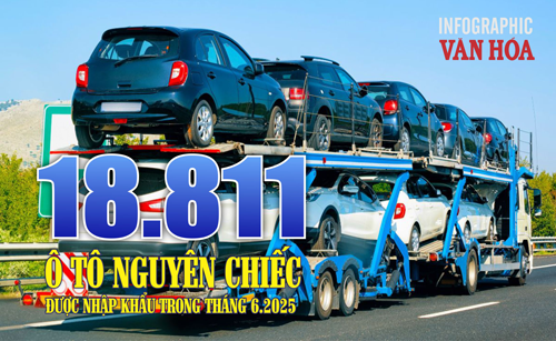 (Infographic) 18.811 ô tô nguyên chiếc được nhập khẩu trong tháng 6.2025