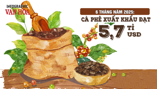 (Infographic) 6 tháng đầu năm 2025: Cà phê xuất khẩu đạt 5,4 tỉ USD