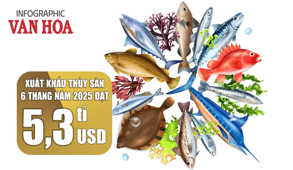 (Infographic) Xuất khẩu thủy sản 6 tháng năm 2025 đạt 5,3 tỉ USD