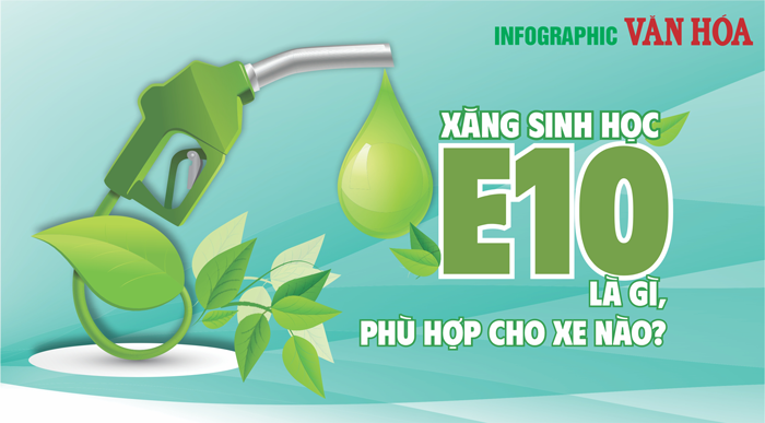 (Infographic) Xăng sinh học E10 là gì, phù hợp cho xe nào?