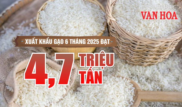 (Infographic) Xuất khẩu gạo 6 tháng năm 2025 đạt 4,7 triệu tấn