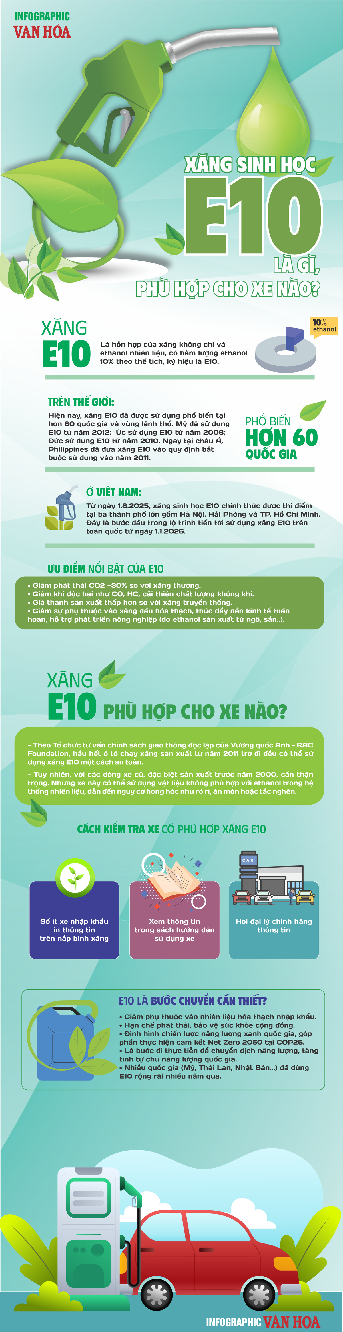 (Infographic) Xăng sinh học E10 là gì, phù hợp cho xe nào? - ảnh 1