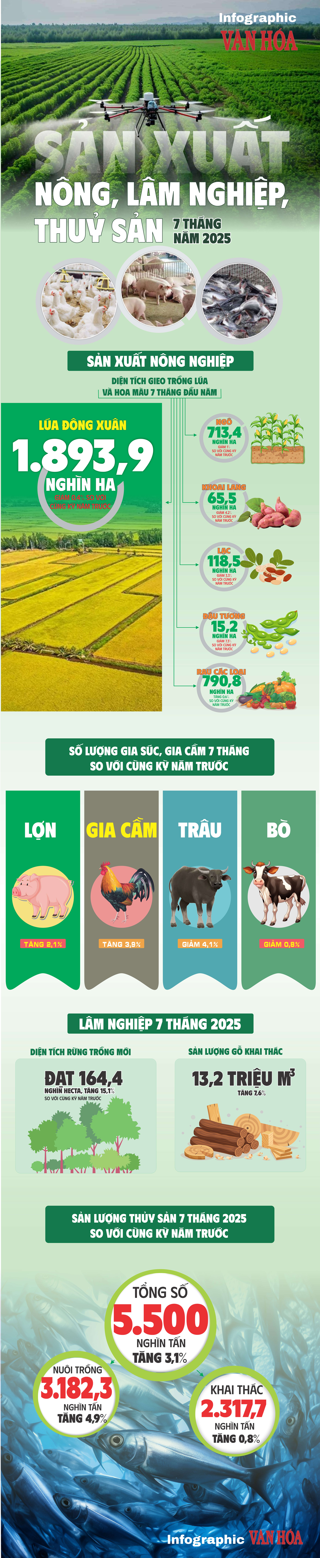 (Infographic) Sản xuất nông, lâm nghiệp, thủy sản 7 tháng năm 2025 - ảnh 1