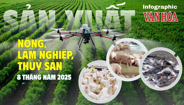 (Infographic) Nông nghiệp 8 tháng 2025: Chăn nuôi trâu bò giảm, thủy sản tăng 3%