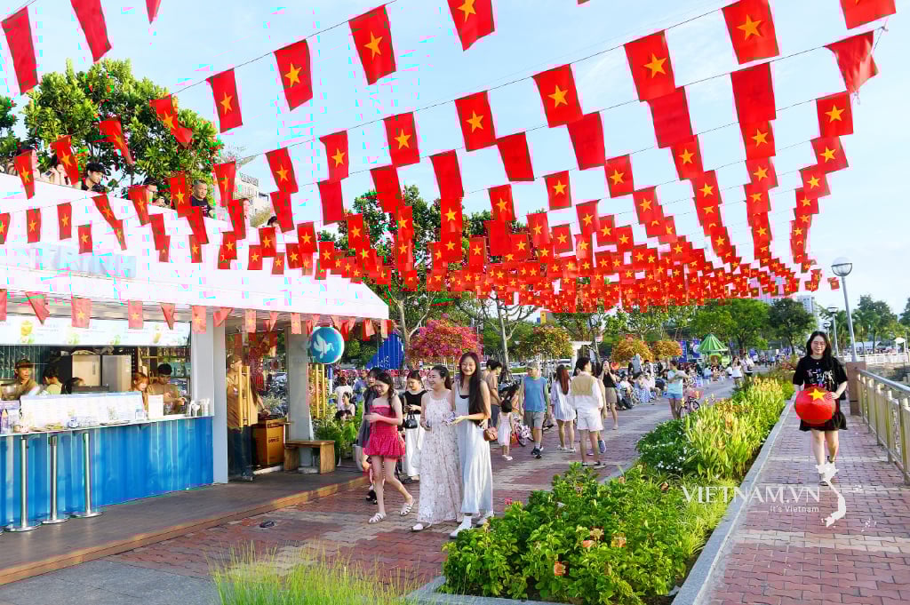 Việt Nam trong tim! - ảnh 2