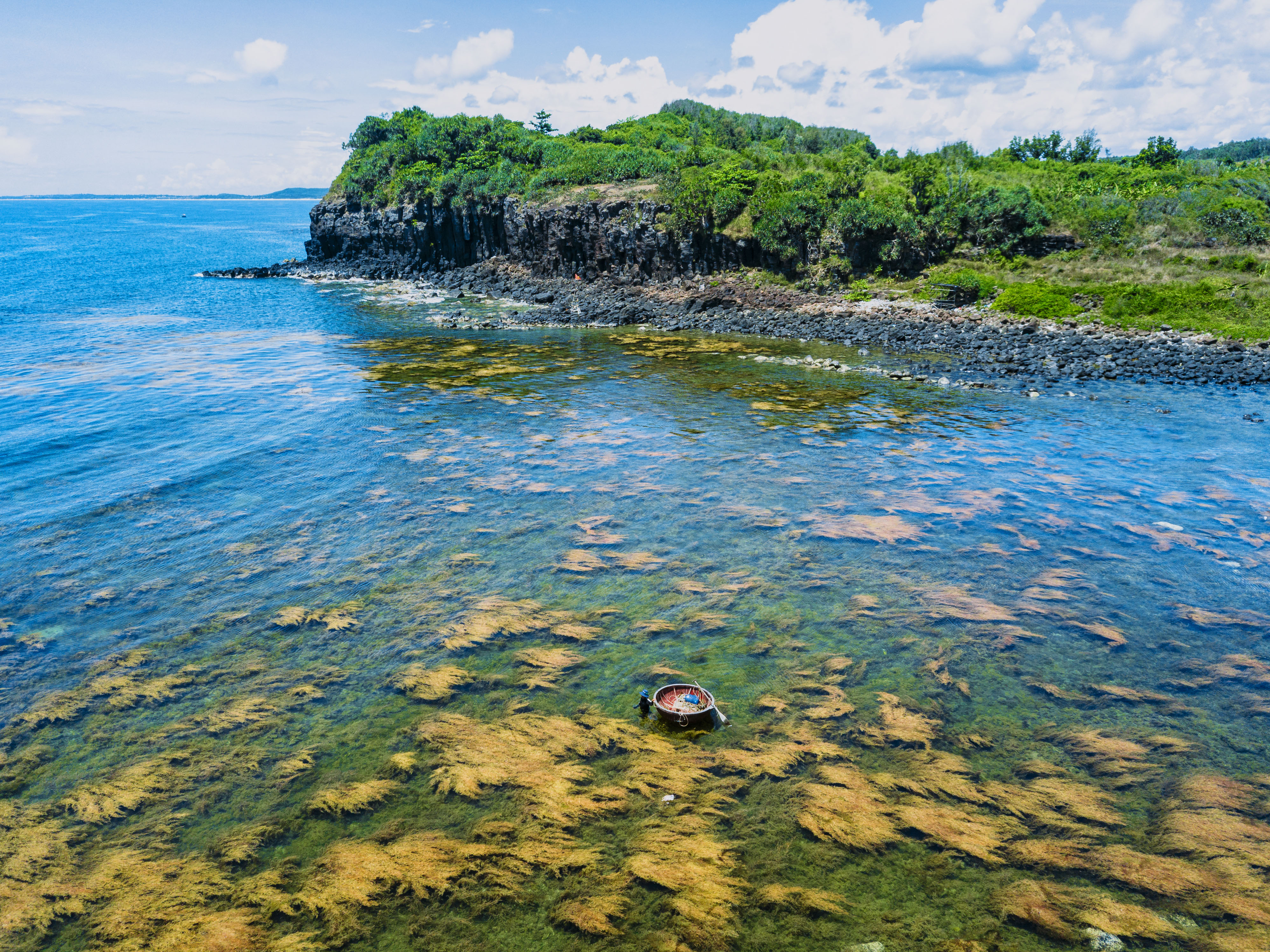 Vẻ đẹp mùa rong mơ ở thắng cảnh Gành Yến - ảnh 1