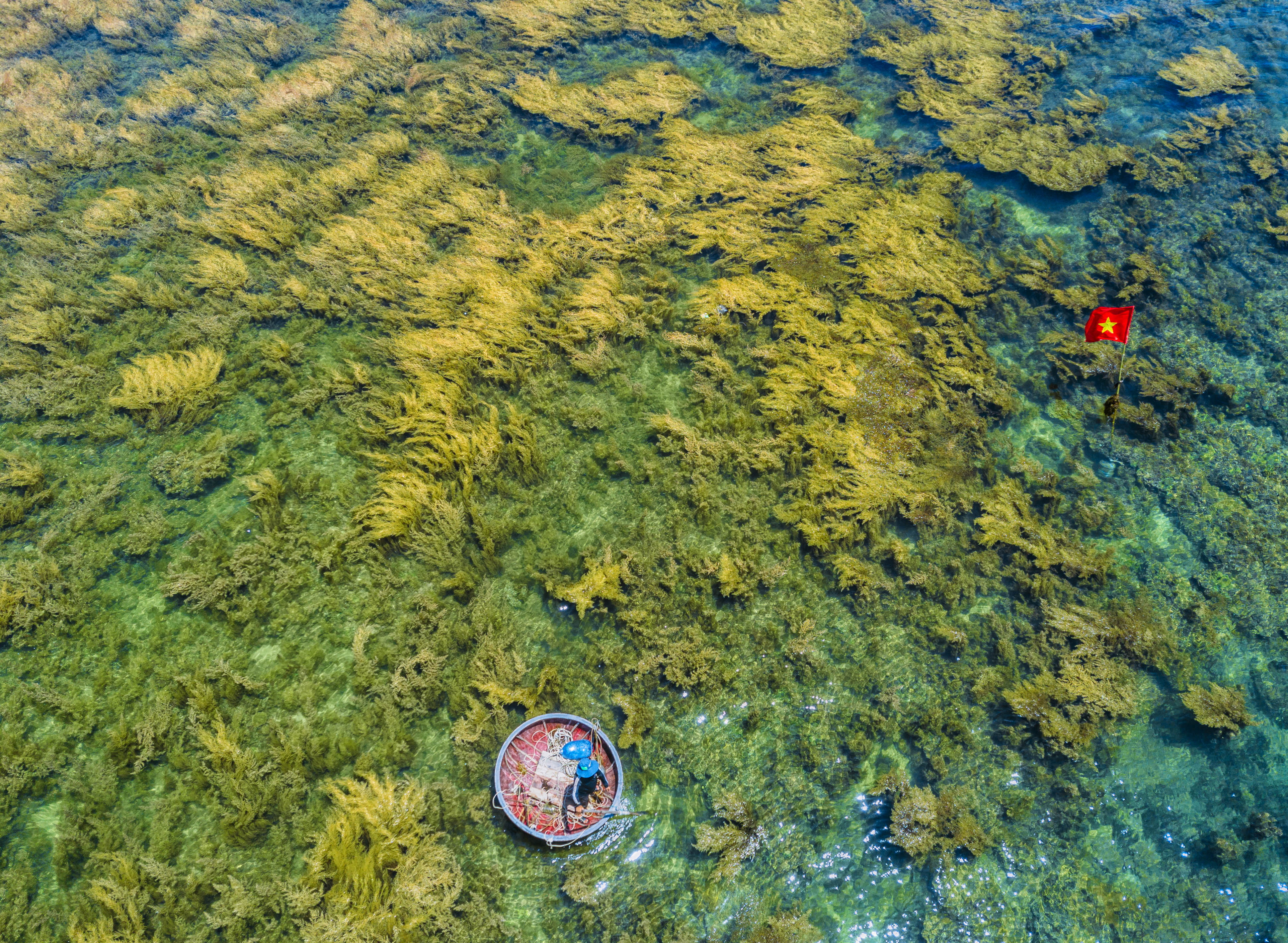 Vẻ đẹp mùa rong mơ ở thắng cảnh Gành Yến - ảnh 5