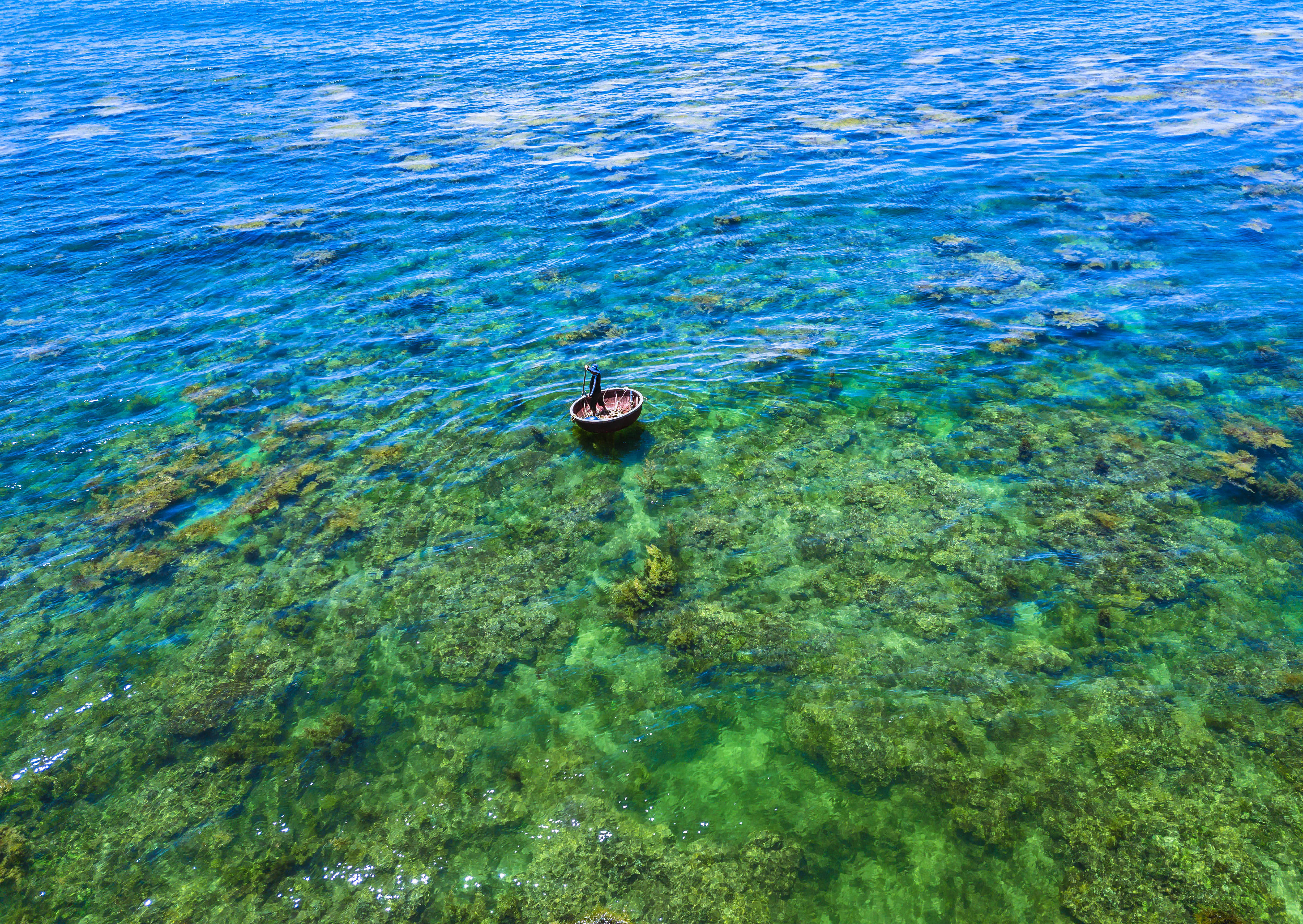 Vẻ đẹp mùa rong mơ ở thắng cảnh Gành Yến - ảnh 2