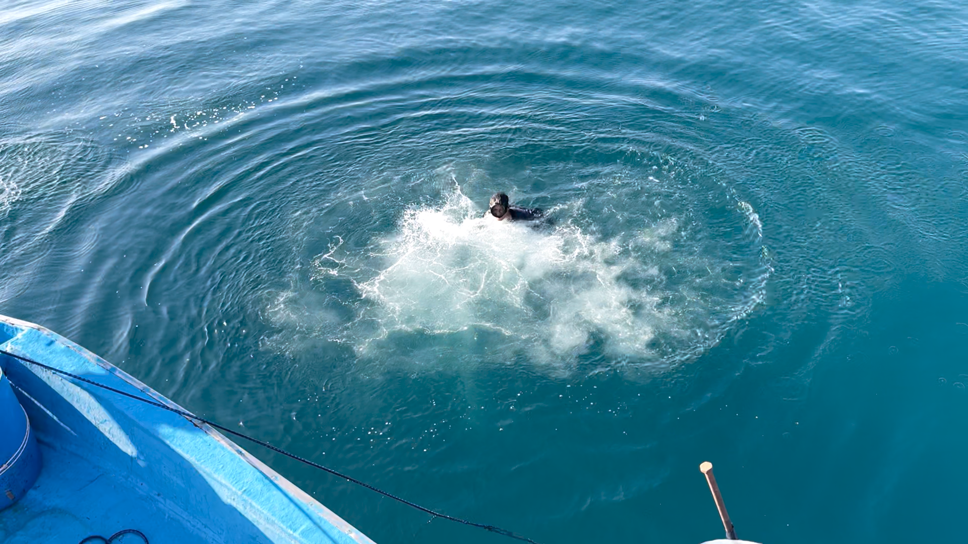 Khai thác cá nghề “lưới vây” - ảnh 4