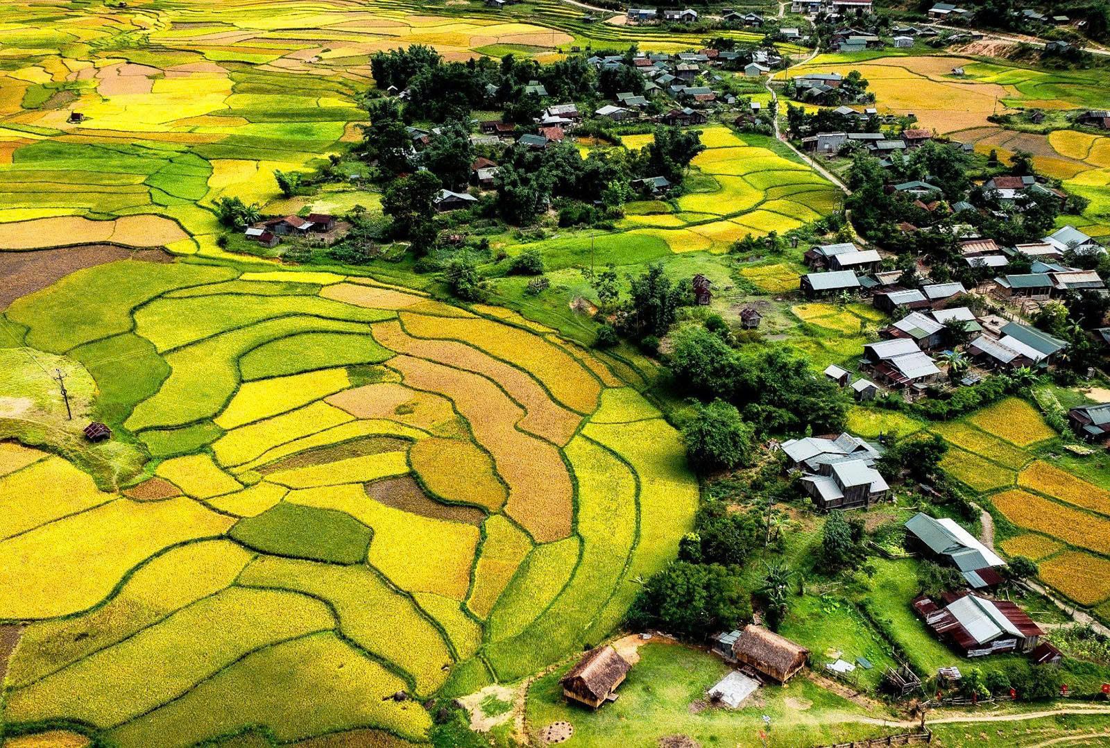 Du lịch Quảng Ngãi – Một hành trình nhiều điểm đến