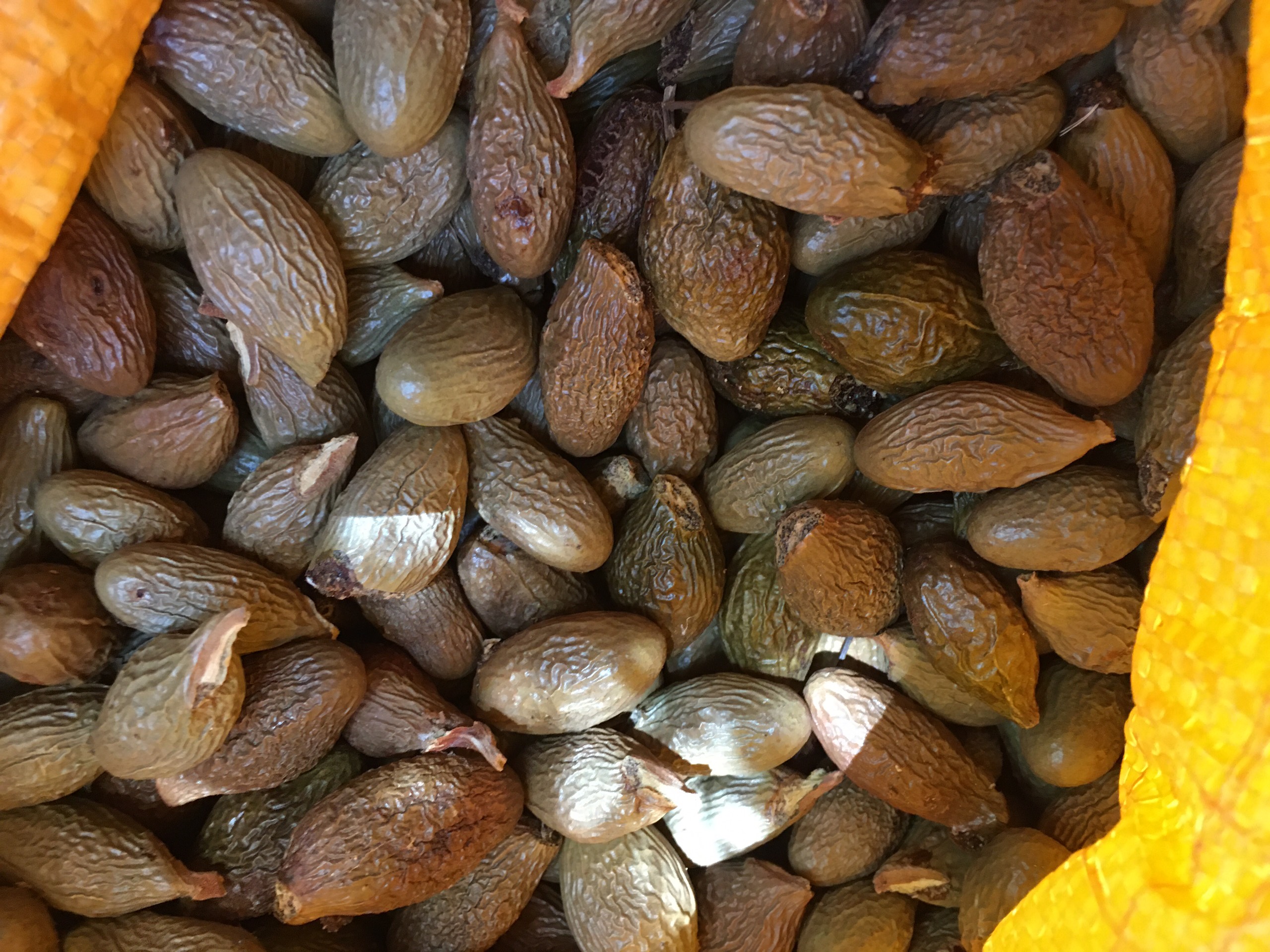 Ươi được mùa, được giá người dân đổ xô vào rừng săn “lộc trời” - ảnh 7