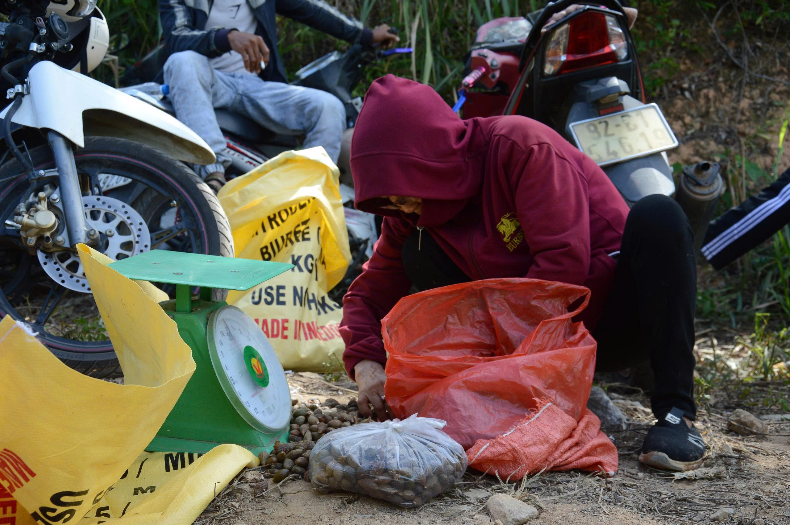 Ươi được mùa, được giá người dân đổ xô vào rừng săn “lộc trời” - ảnh 5