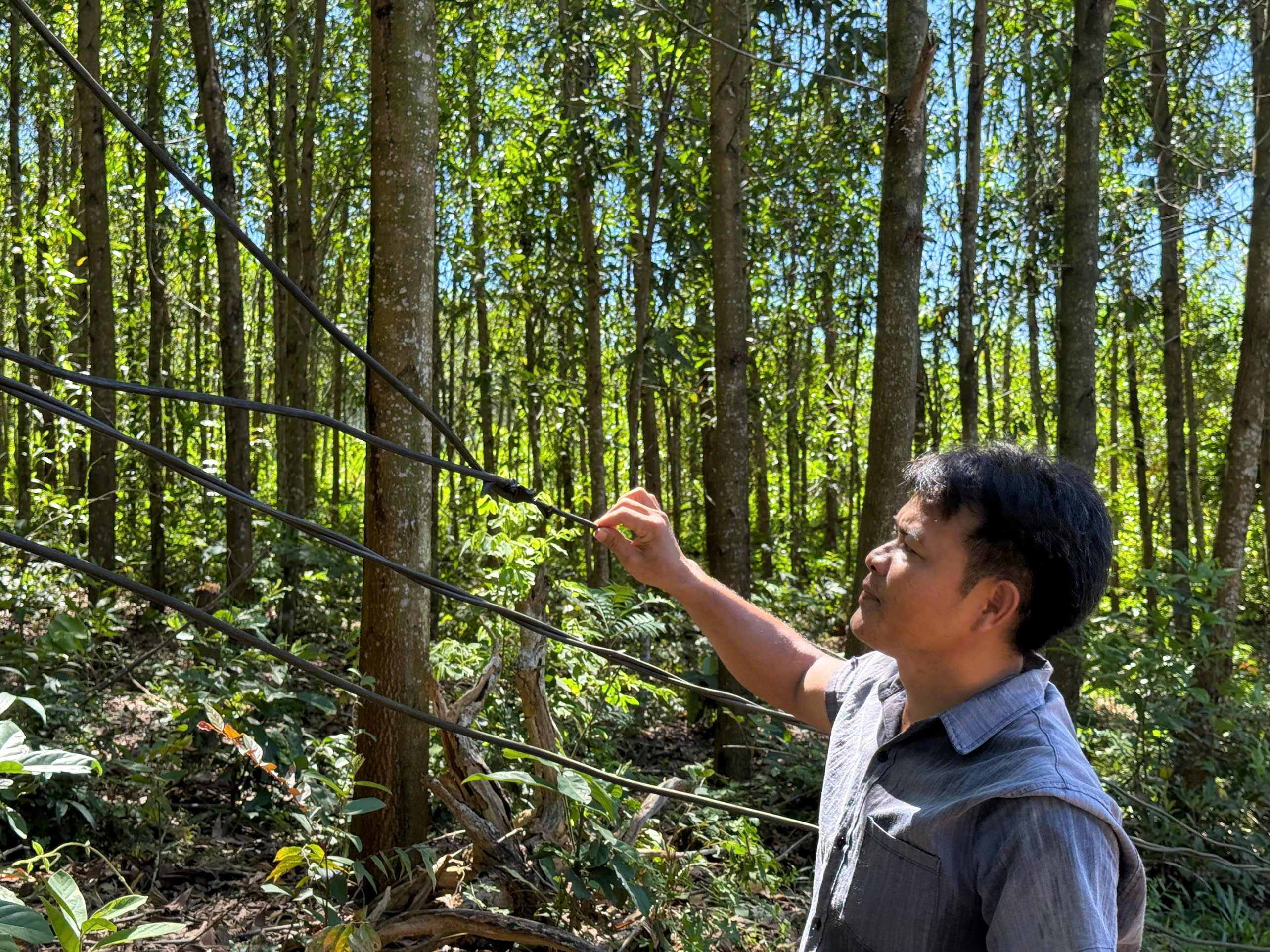 Người dân ở Gò Rạch và Kà La mòn mỏi chờ cấp điện - ảnh 10