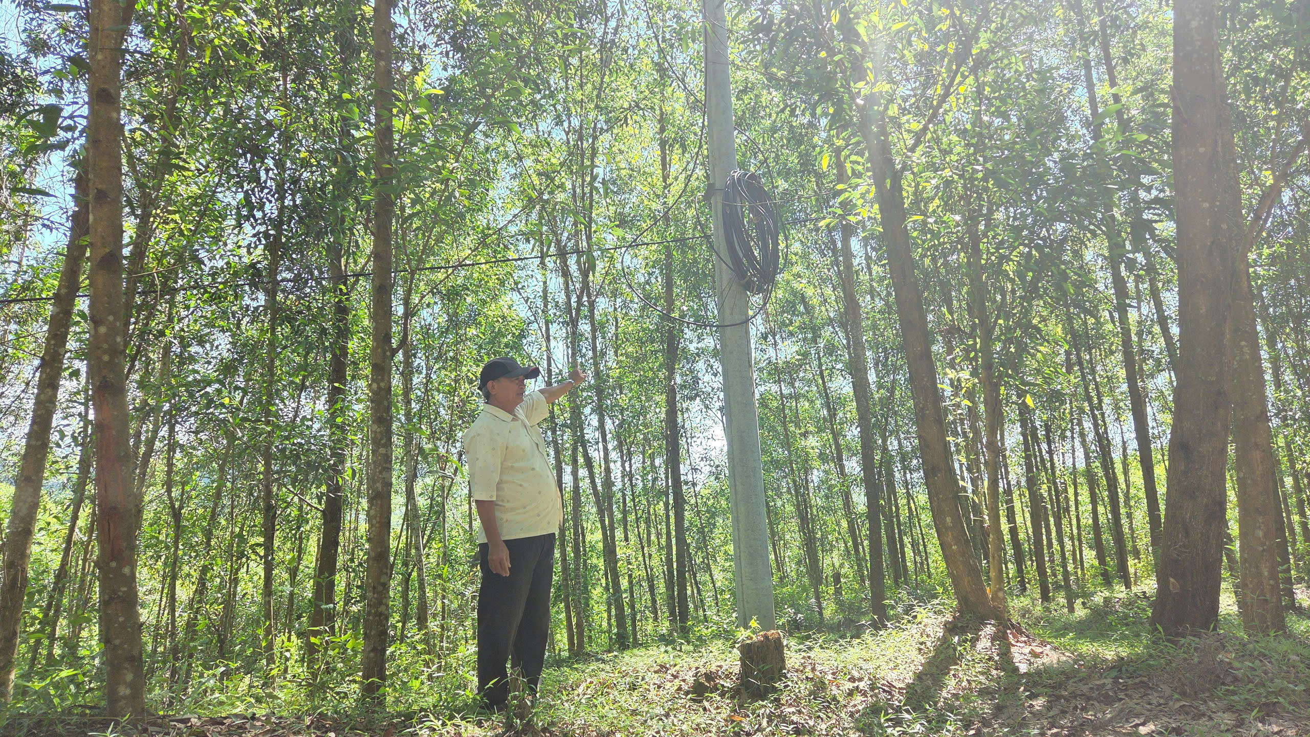 Người dân ở Gò Rạch và Kà La mòn mỏi chờ cấp điện - ảnh 1