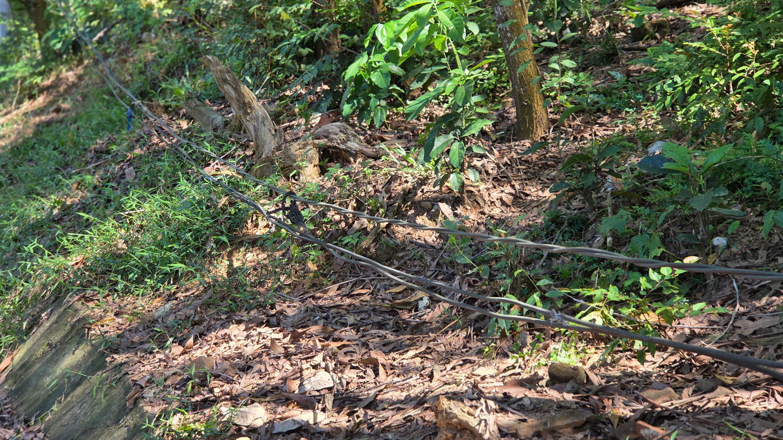 Người dân ở Gò Rạch và Kà La mòn mỏi chờ cấp điện - ảnh 5