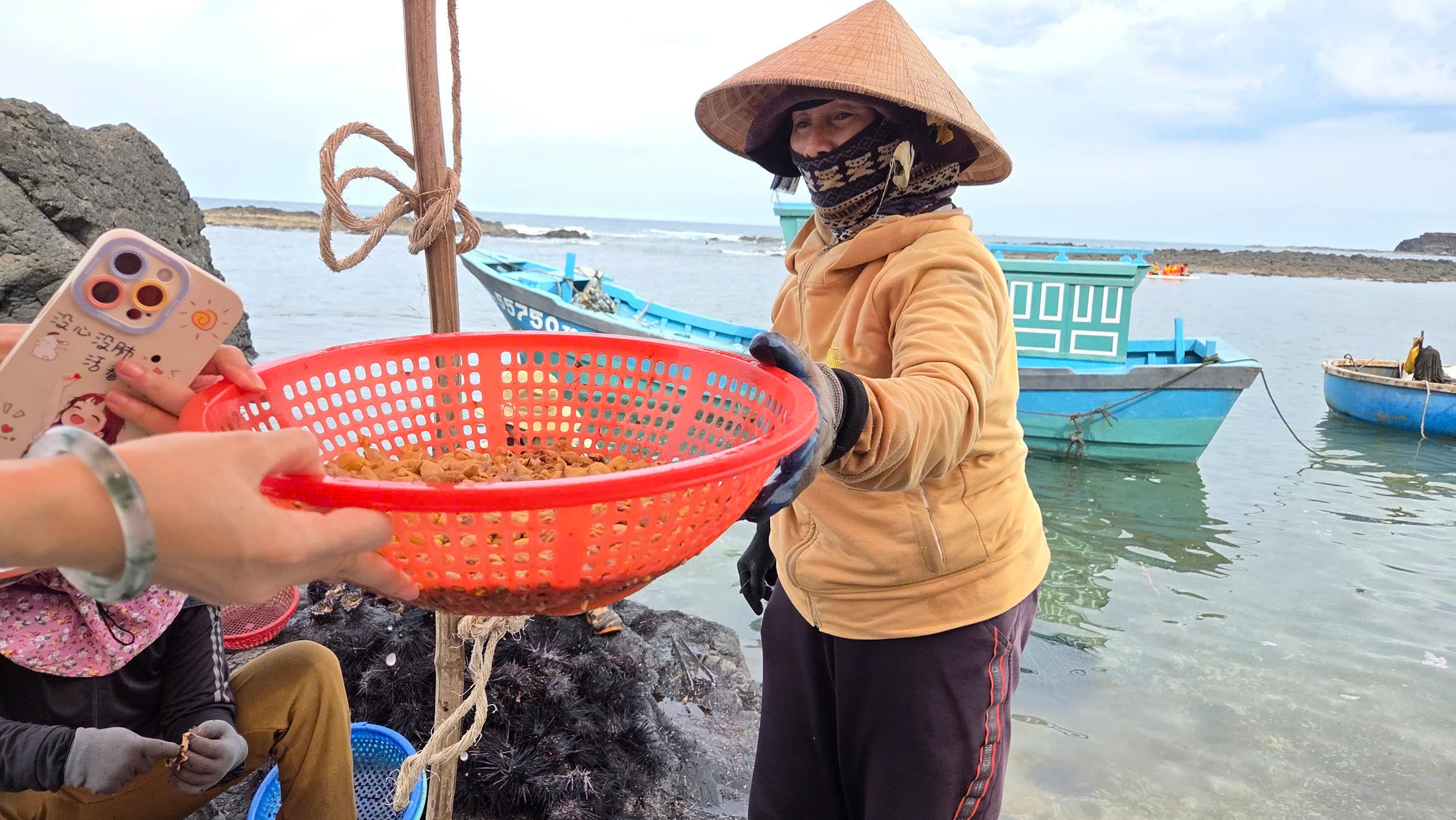 Mùa “săn” nhum biển của ngư dân Quảng Ngãi - ảnh 9