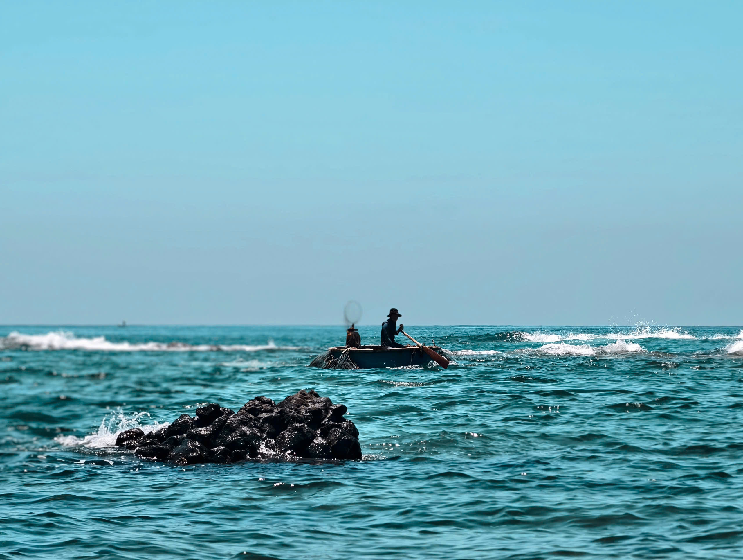 Mùa “săn” nhum biển của ngư dân Quảng Ngãi - ảnh 1