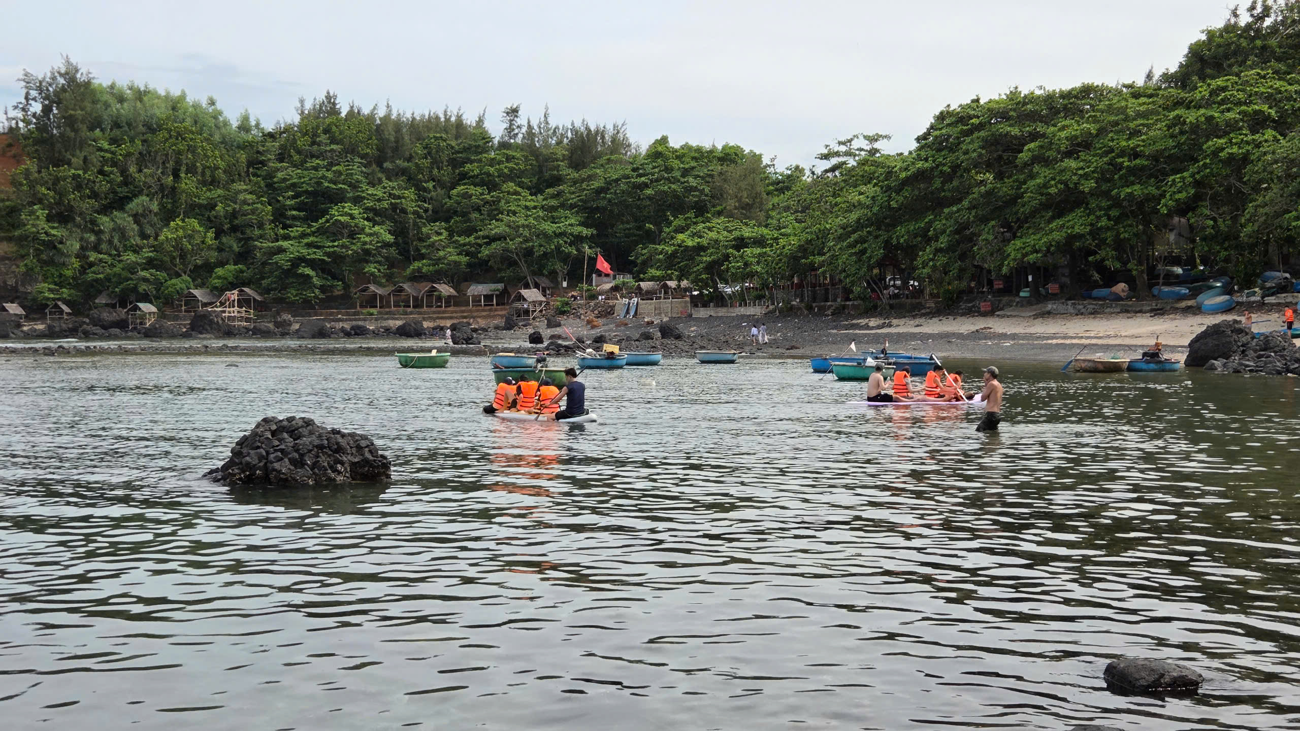 Mùa “săn” nhum biển của ngư dân Quảng Ngãi - ảnh 10