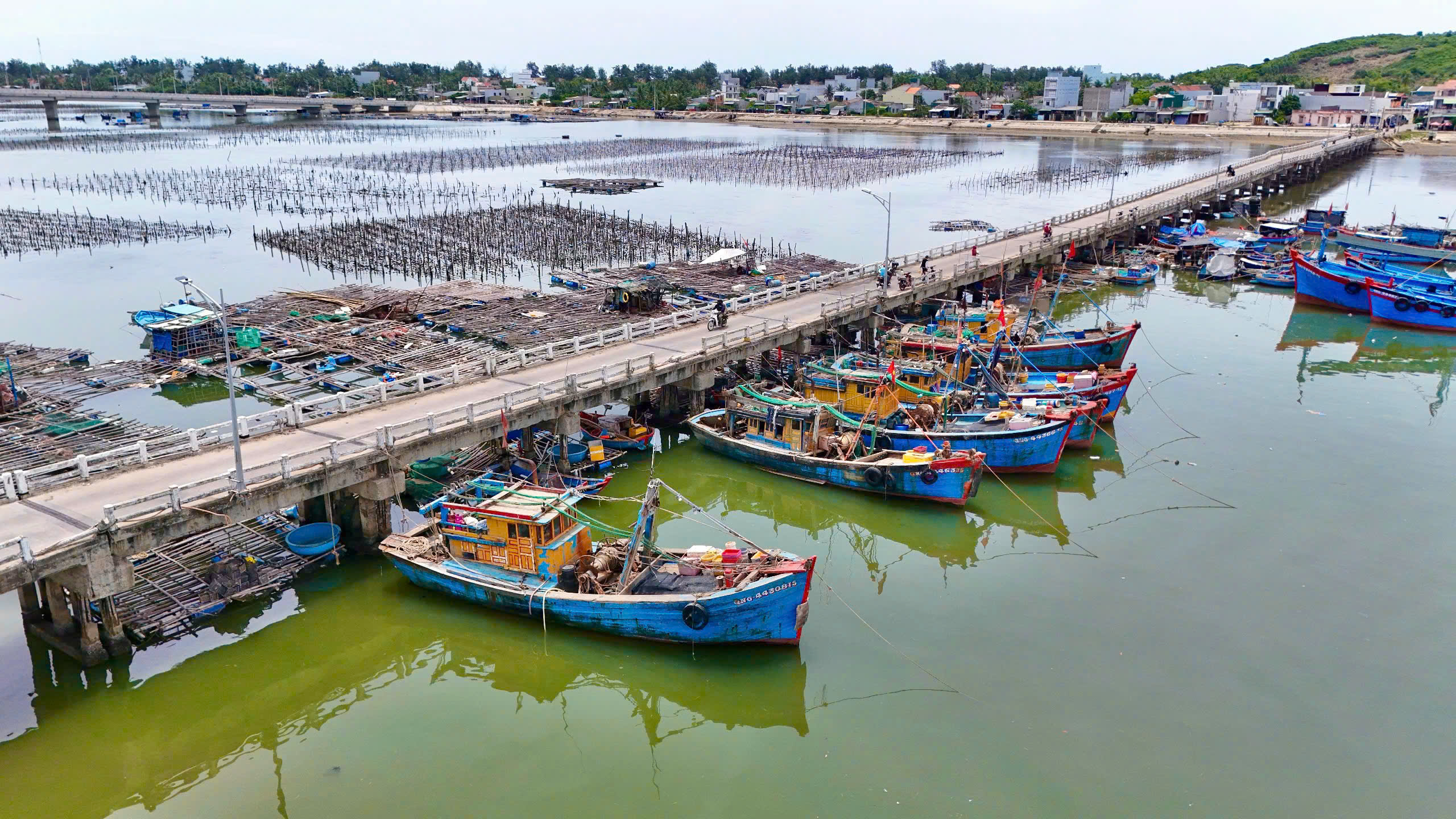 Cầu nguy cơ đổ sập, chính quyền cảnh báo ngư dân vẫn neo đậu - ảnh 1