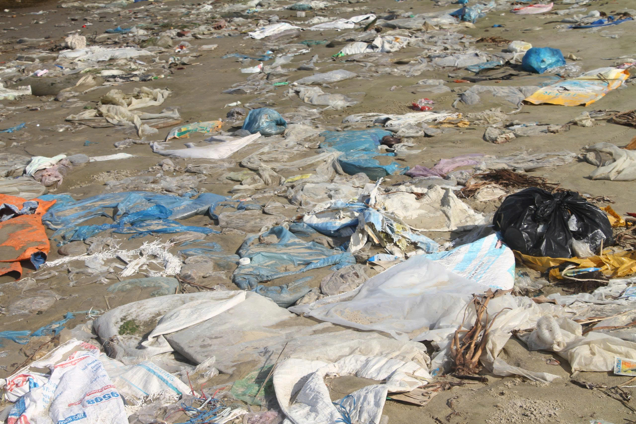 Bờ biển trở thành nơi “tập kết” rác thải - ảnh 1