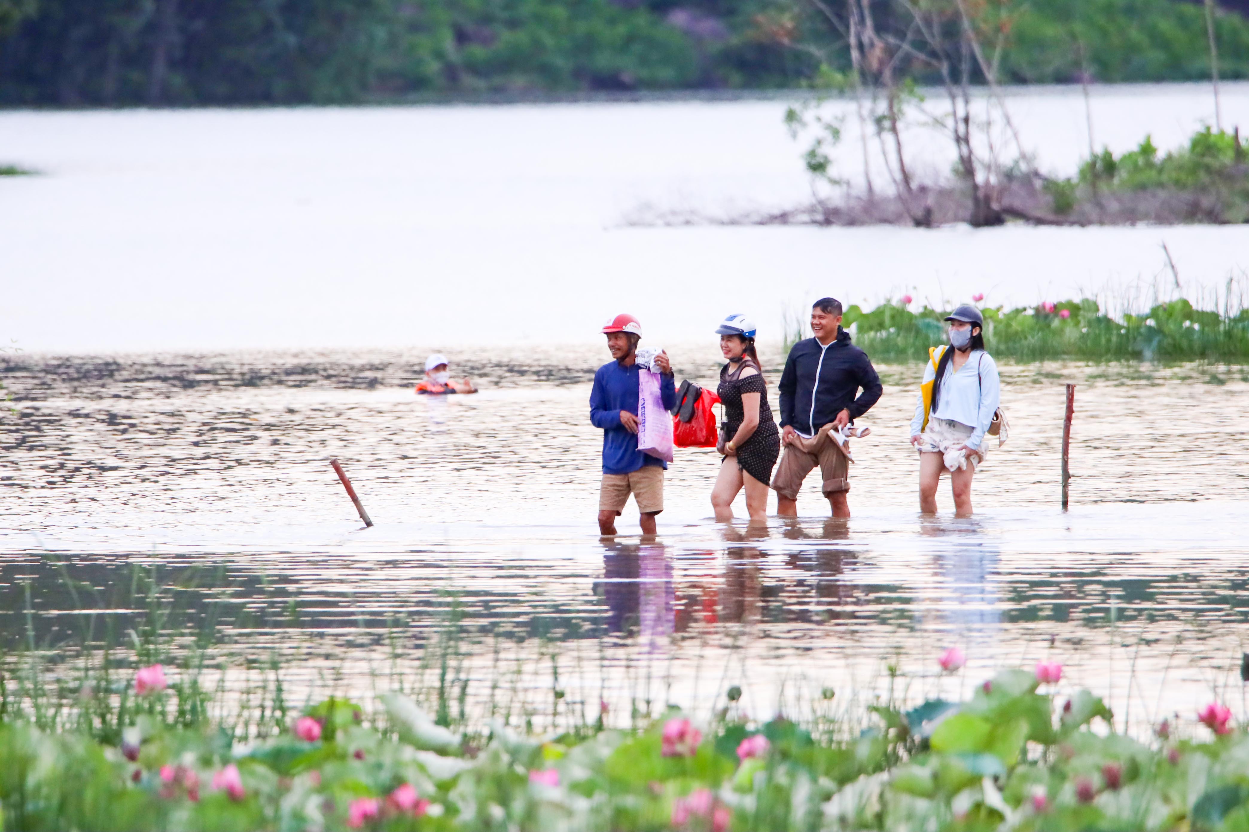 Ngỡ ngàng trước vẻ đẹp thơ mộng của đầm sen Trà Lý - ảnh 14