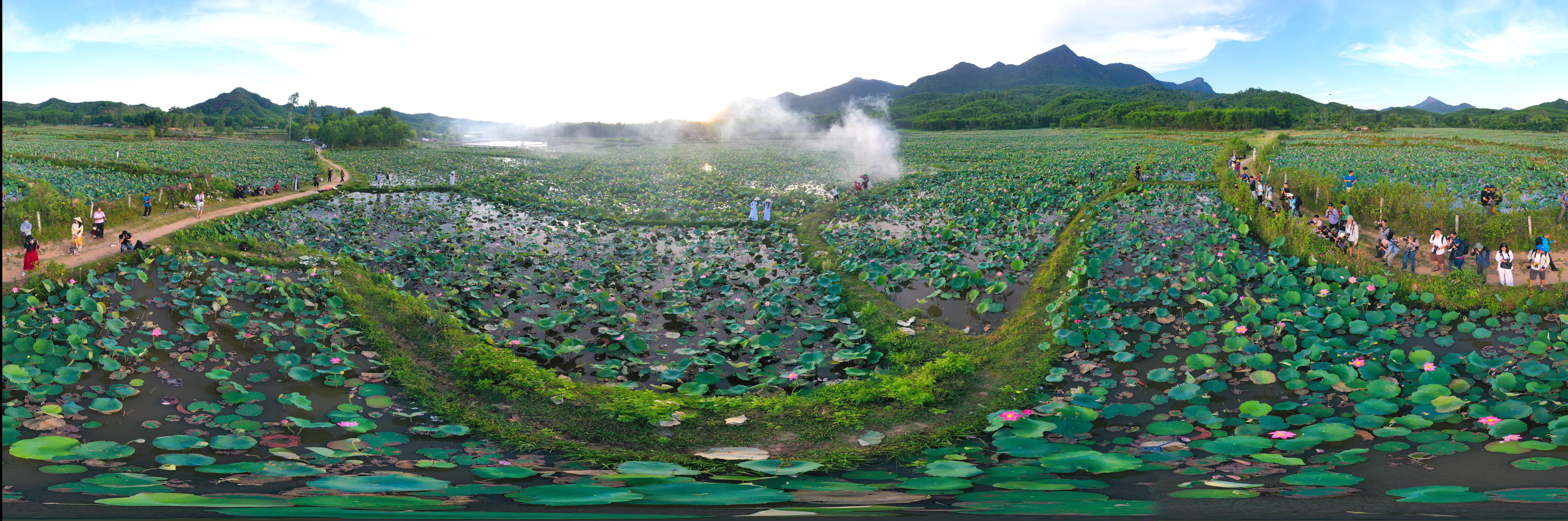 Ngỡ ngàng trước vẻ đẹp thơ mộng của đầm sen Trà Lý - ảnh 15