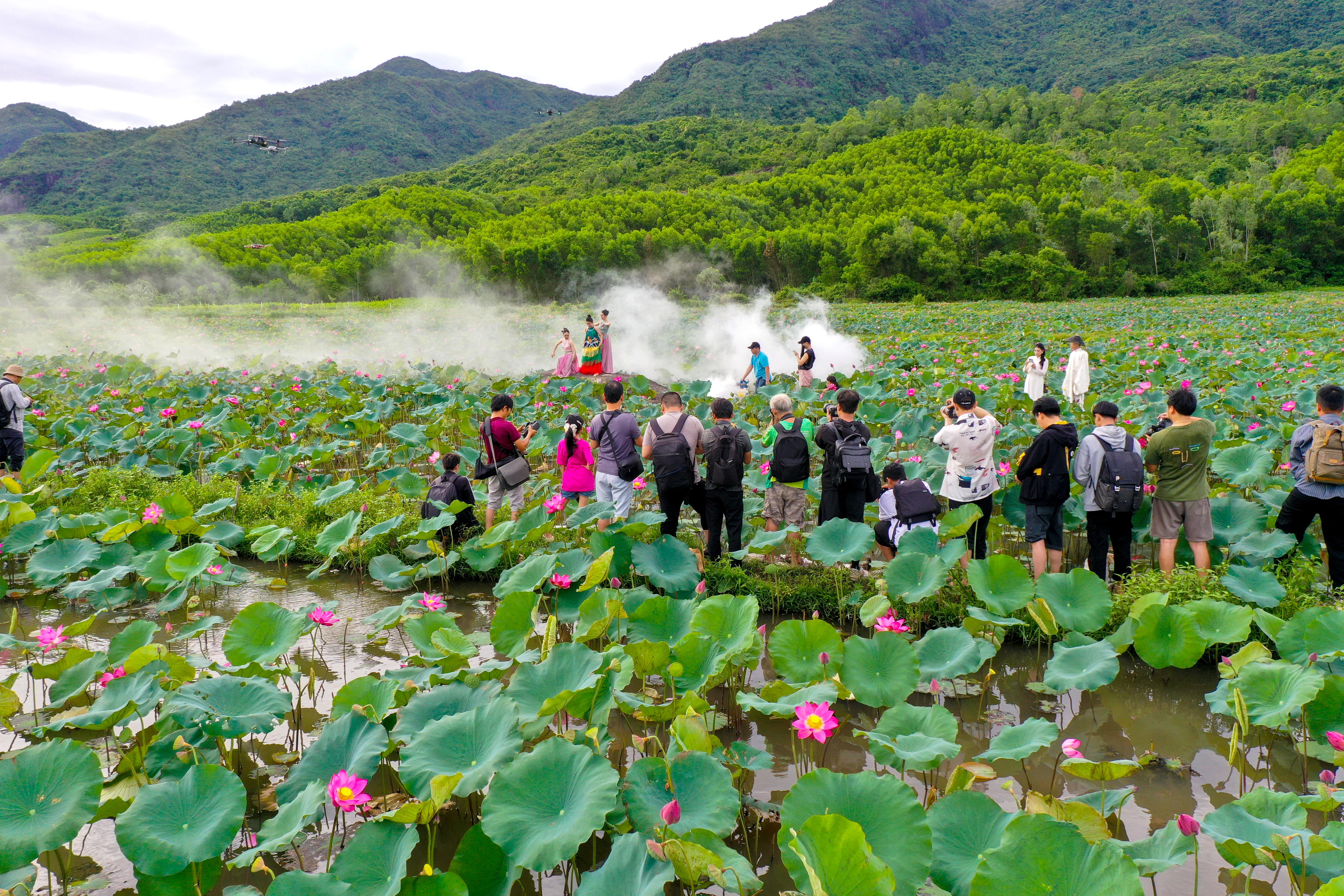 Ngỡ ngàng trước vẻ đẹp thơ mộng của đầm sen Trà Lý - ảnh 12