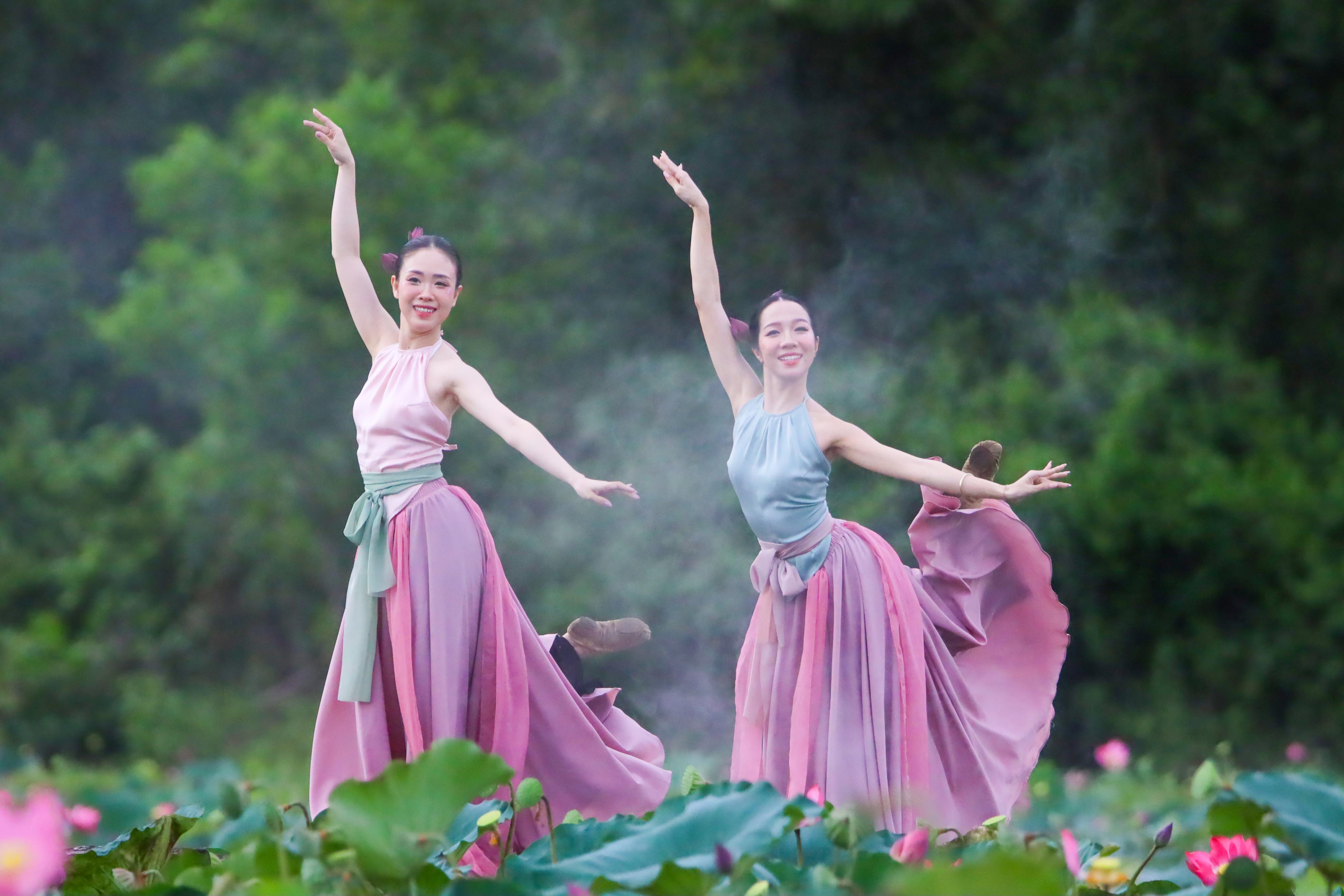 Ngỡ ngàng trước vẻ đẹp thơ mộng của đầm sen Trà Lý - ảnh 7