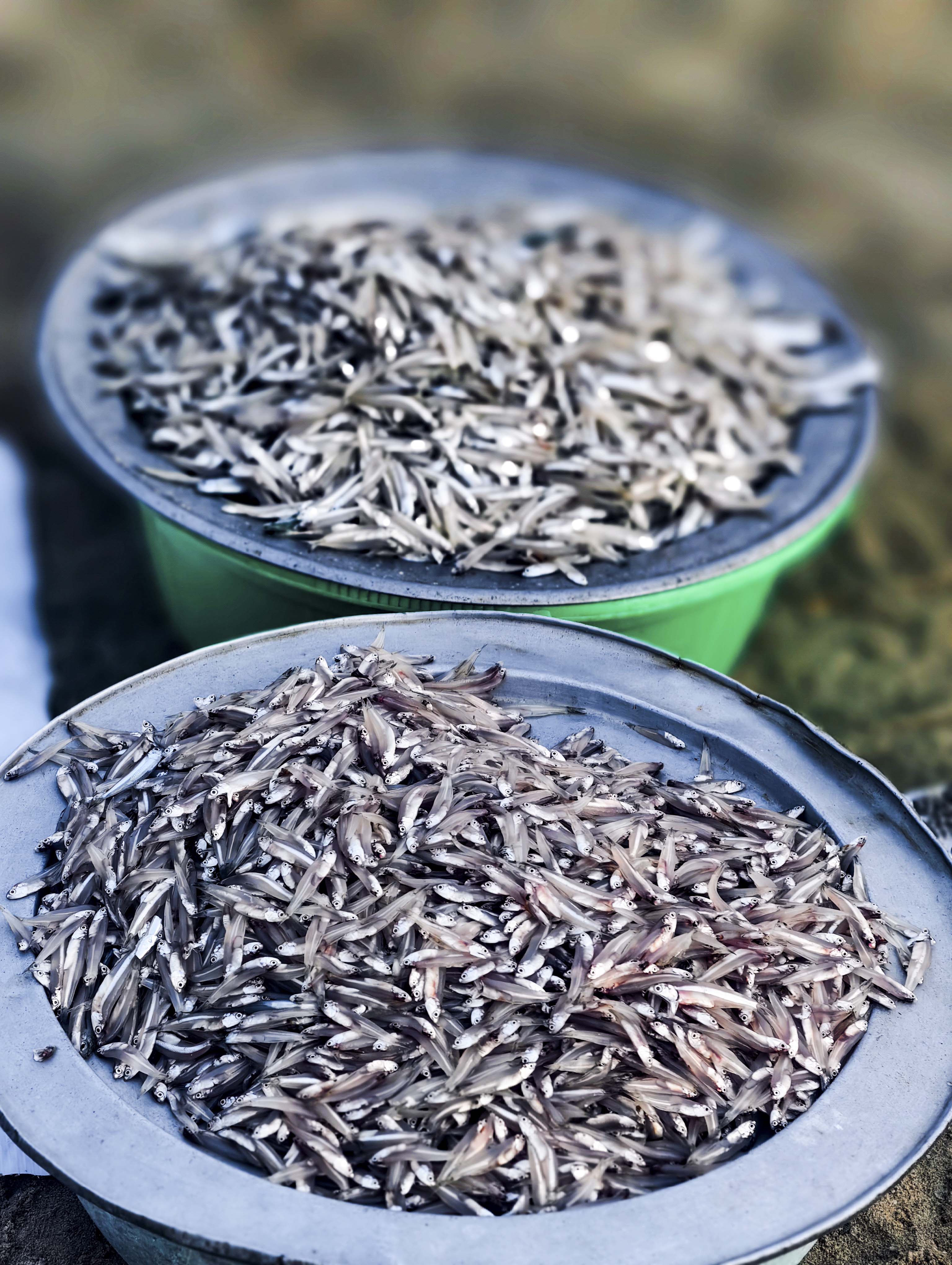Khám phá chợ hải sản lúc bình minh bên bờ biển Đà Nẵng - ảnh 6