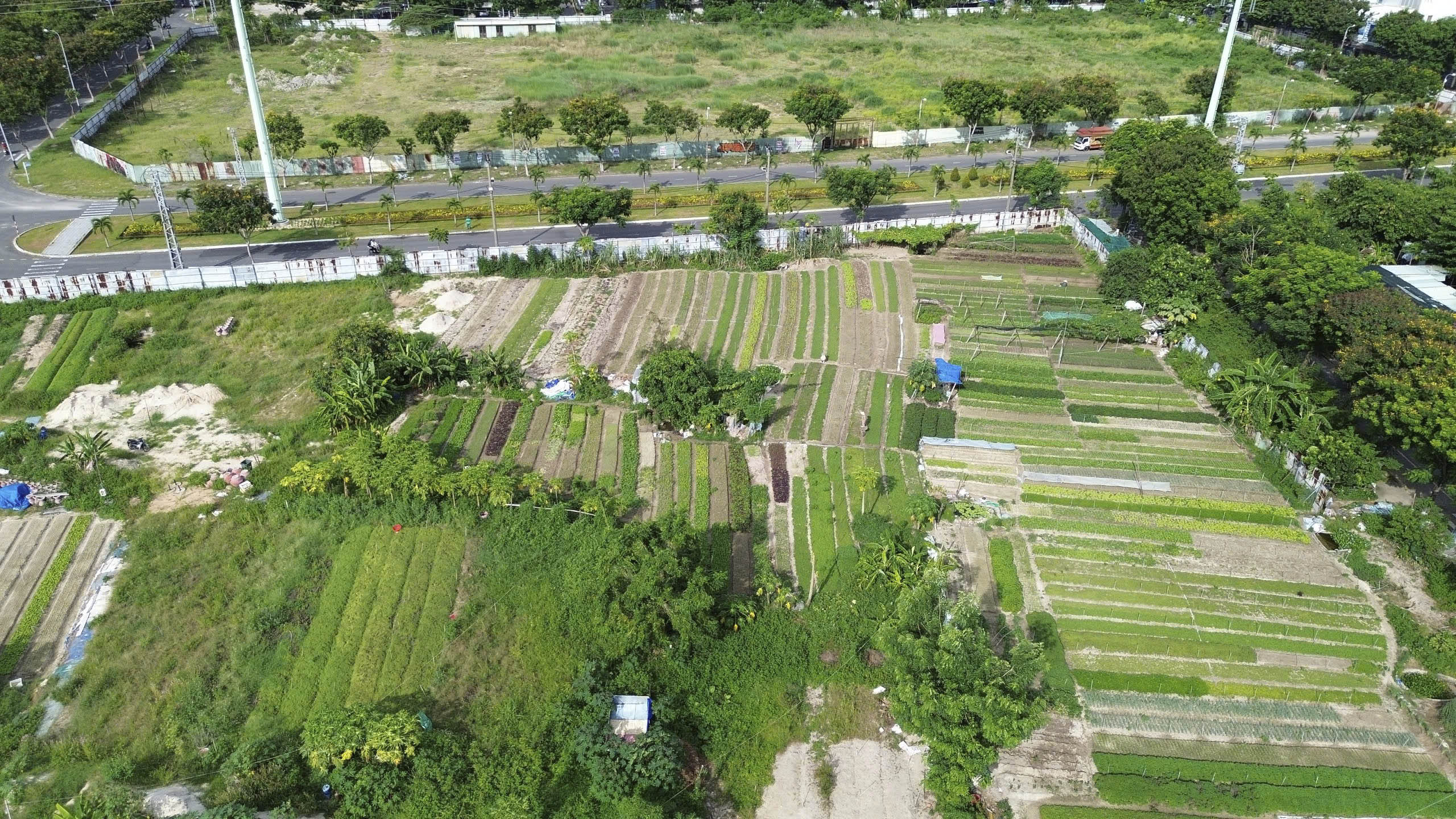 Cận cảnh khu vực quy hoạch tổ hợp pháo hoa quốc tế Đà Nẵng - ảnh 6