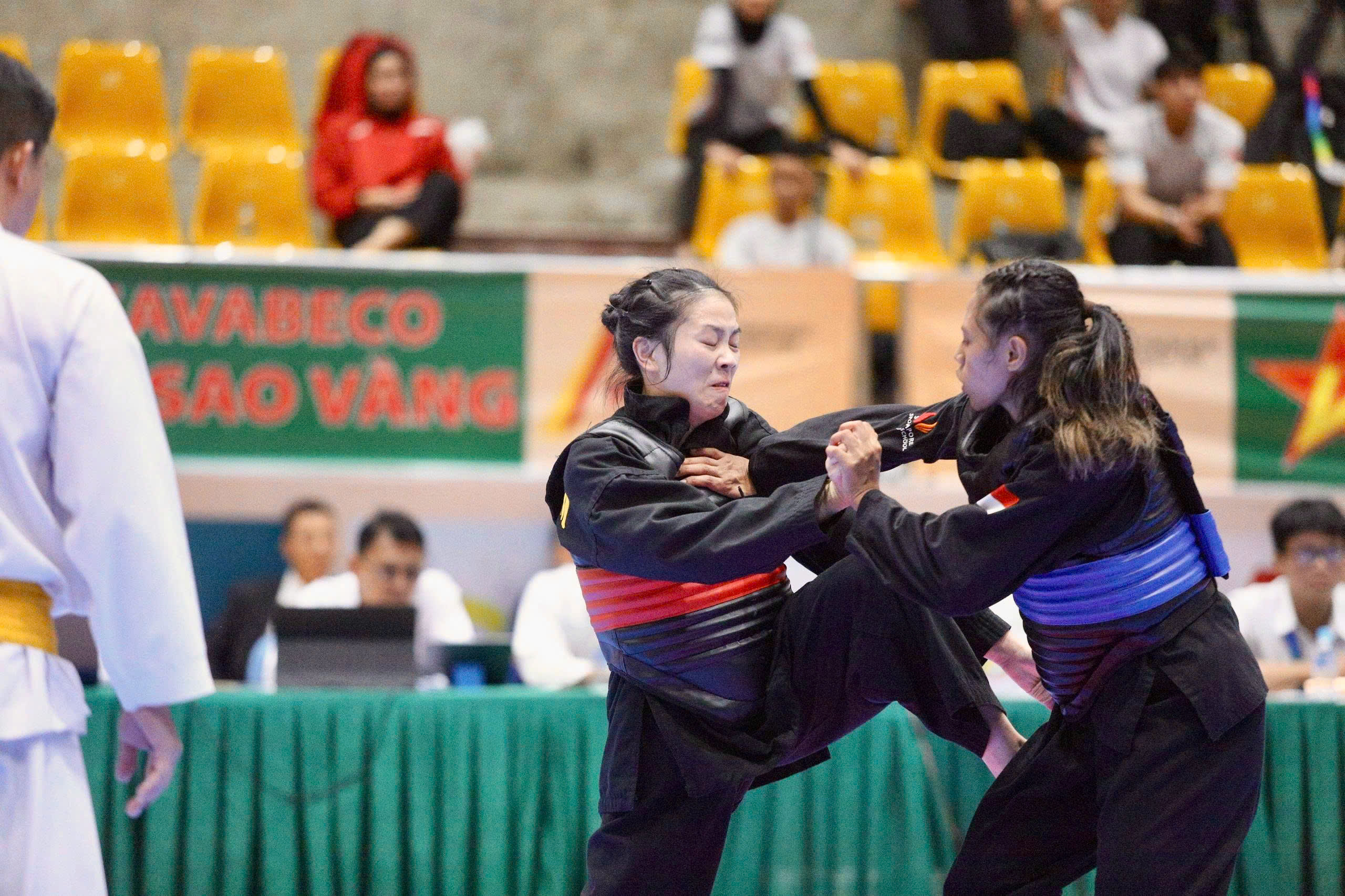 23 ویتنامی مارشل آرٹسٹ 2025 ایشین پینکاک سیلات کے فائنل میں داخل ہوئے - تصویر 5